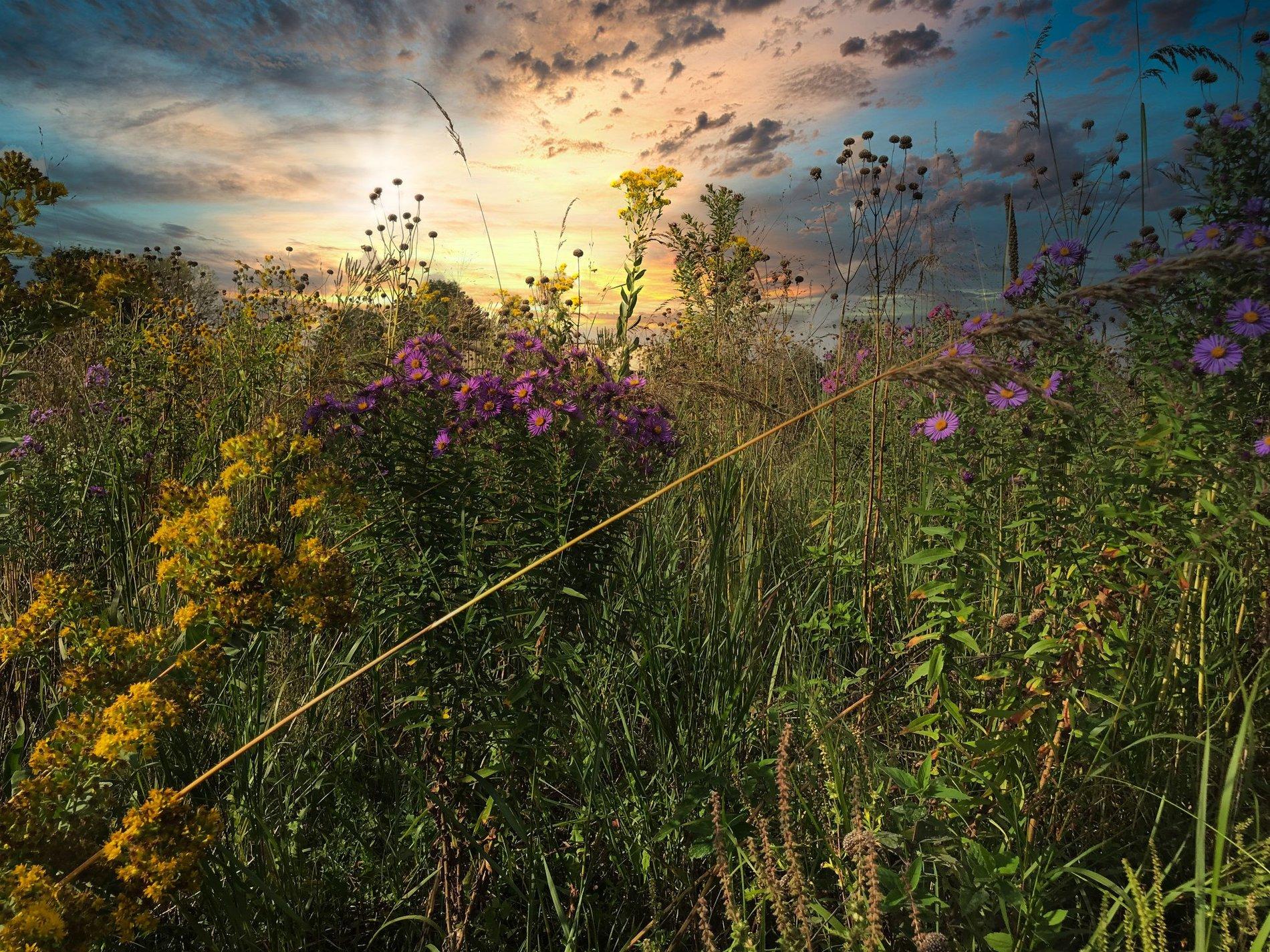 Jeep Gladiator Show us what you see Prairie sunset