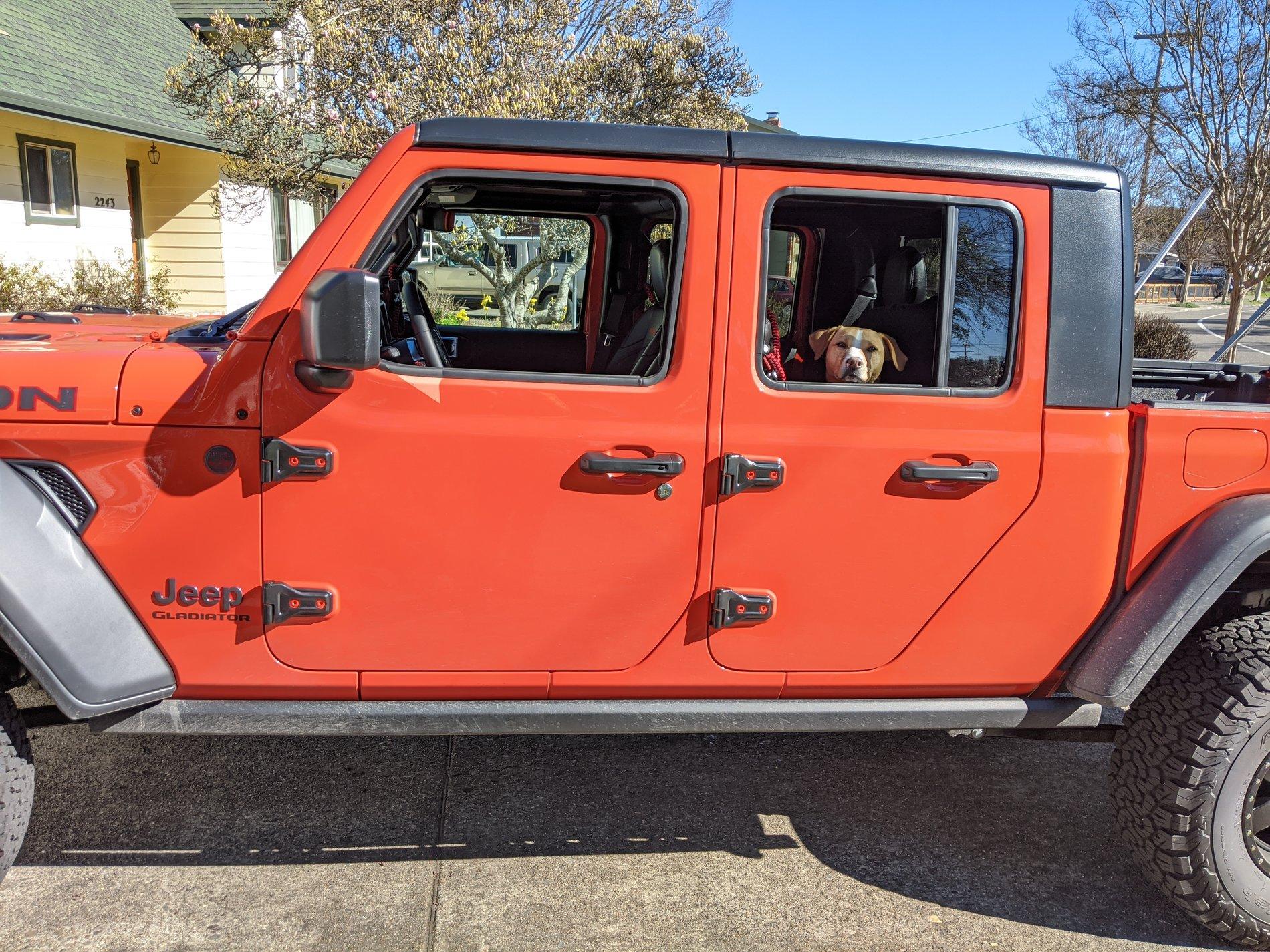 Jeep Gladiator Glad(iator) Dogs! Let's see 'em! IMG_20200203_123627