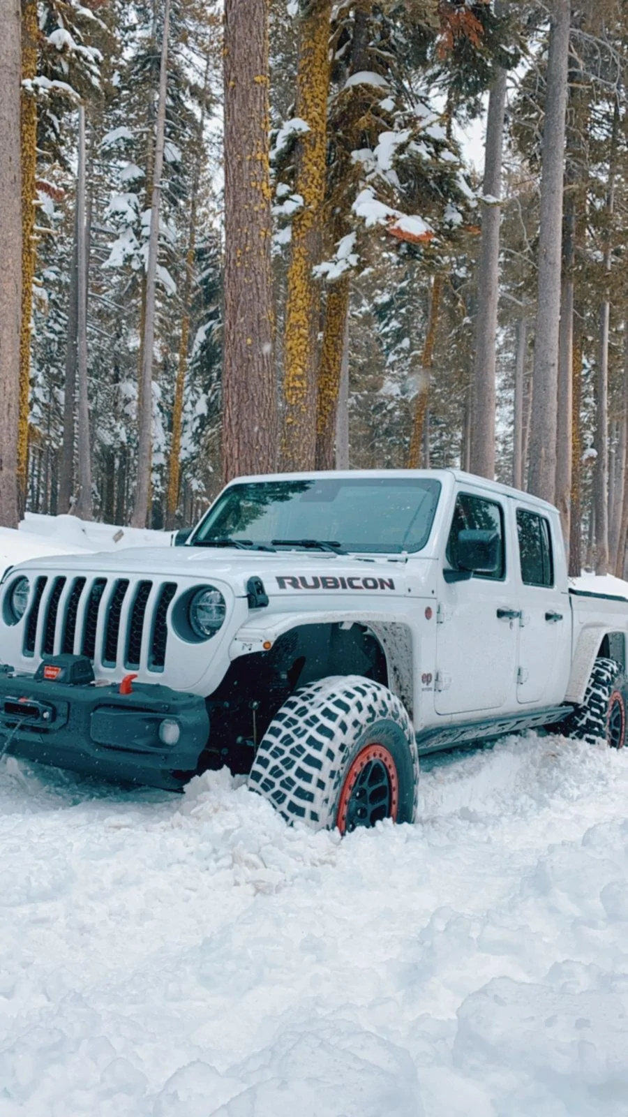 Jeep Gladiator Fun snow day! Shout out to Jon @ VividRacing and Warn B7AEA1EC-619D-4AA1-8AD0-C14AC2FDF2CA