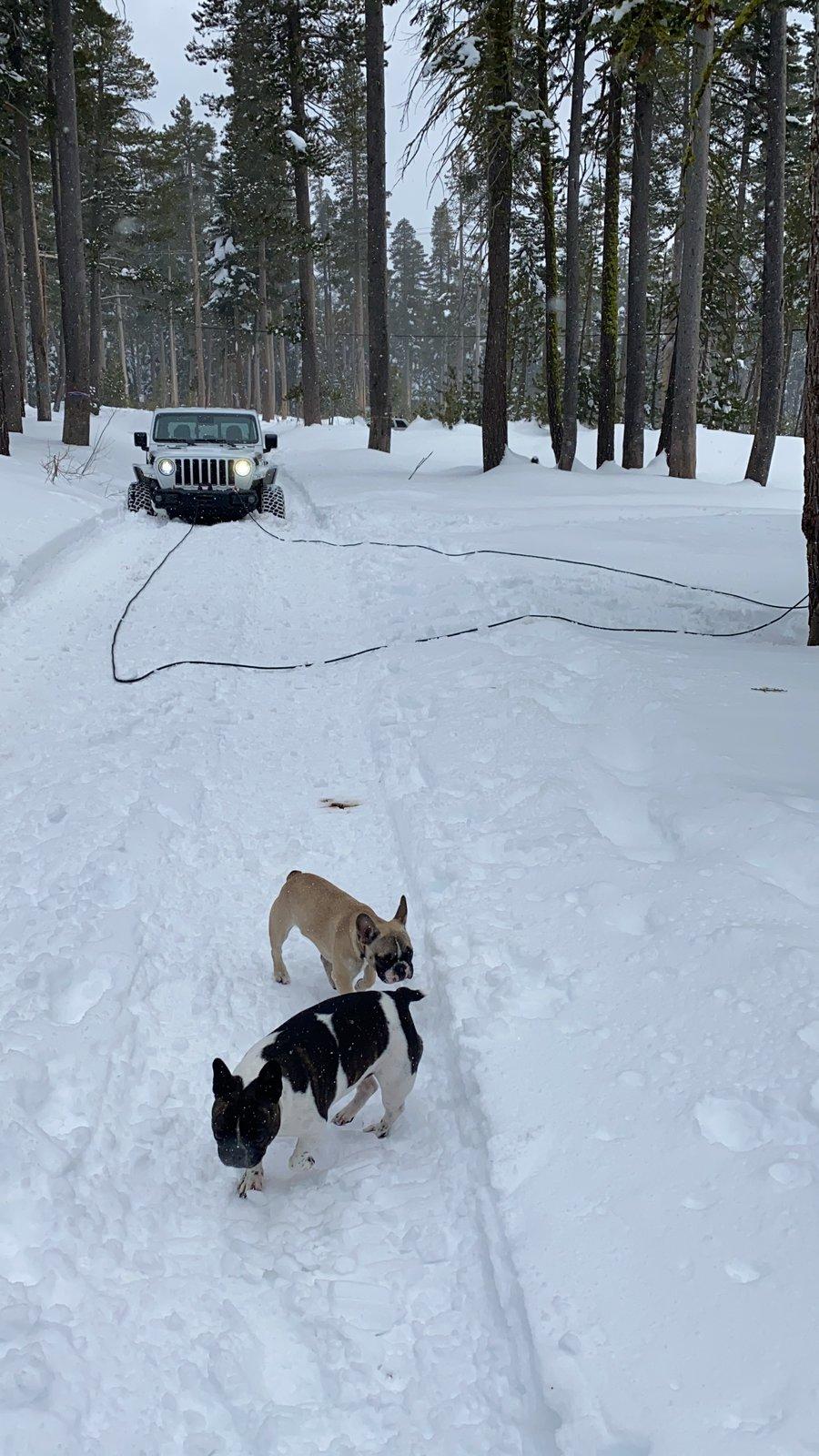 Jeep Gladiator Fun snow day! Shout out to Jon @ VividRacing and Warn IMG_8023.JPG