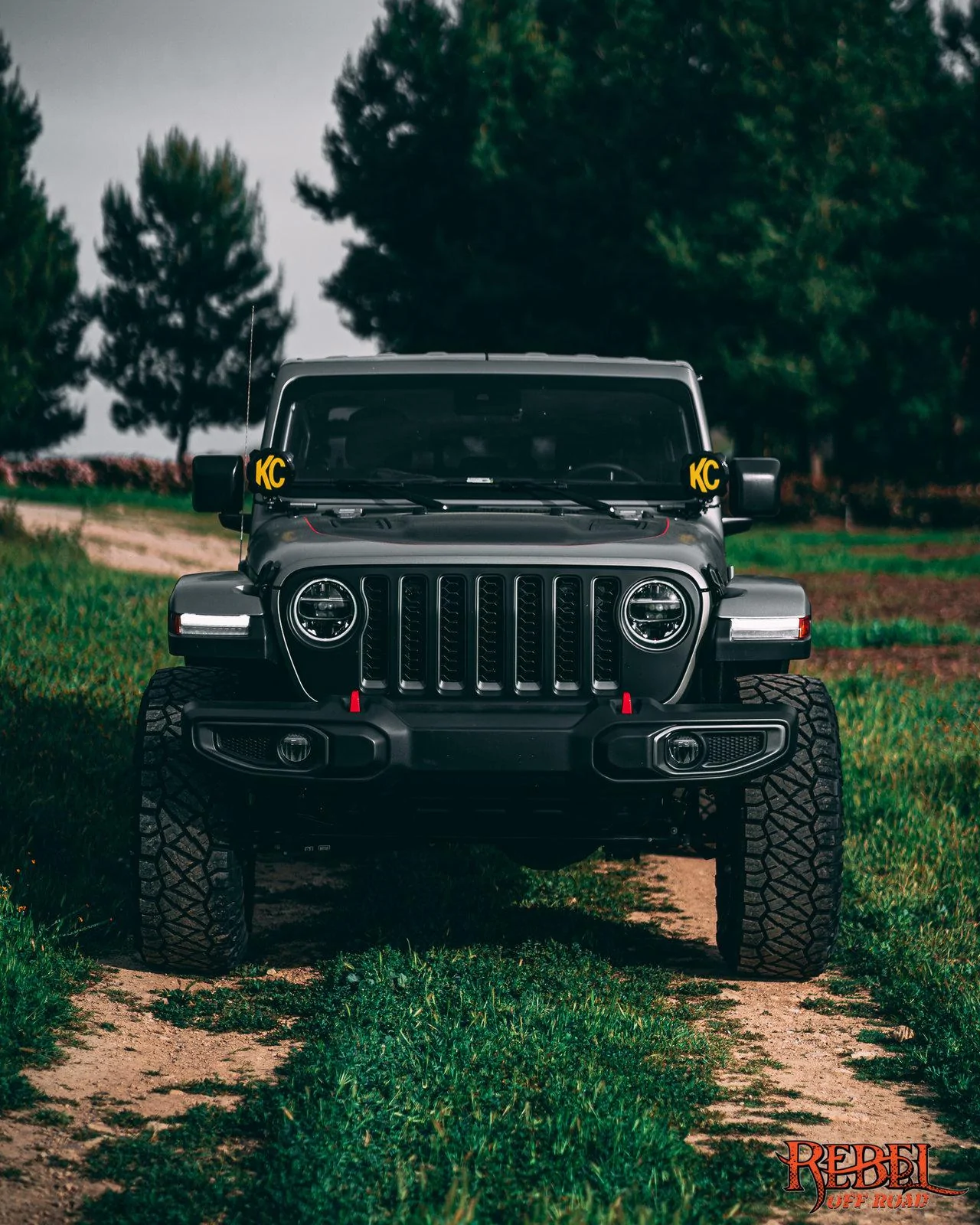 Jeep Gladiator 2020 Jeep Gladiator Brushed Aluminu with XPLOR Half Rack RebelOffRoad-00709