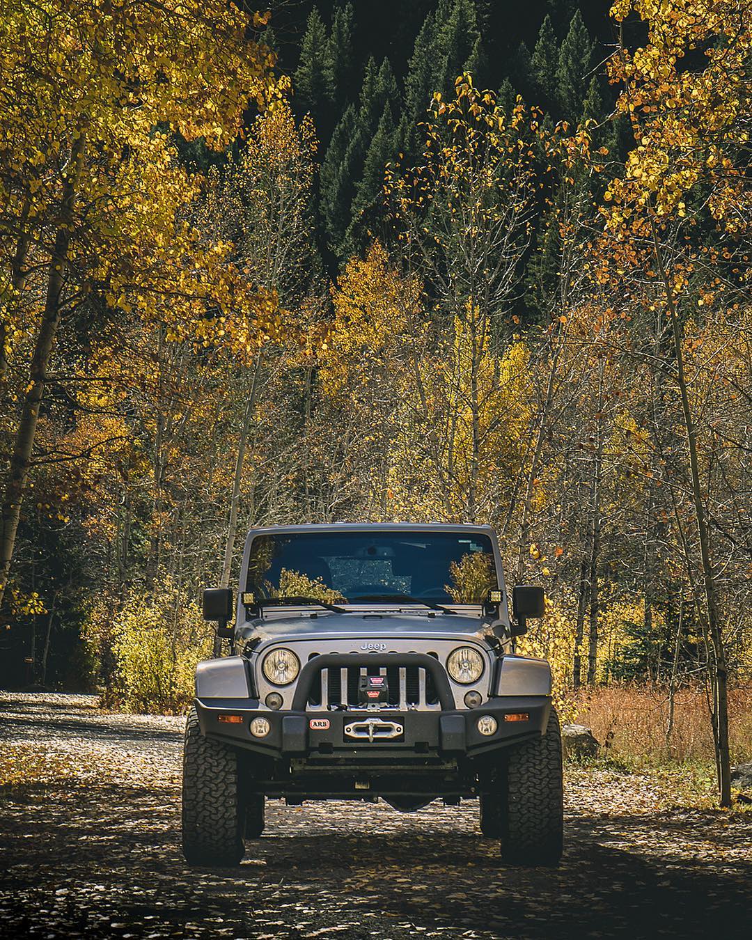 Jeep Gladiator Current and former Jeep owners 43915519_300494170802912_27740142963987678_n