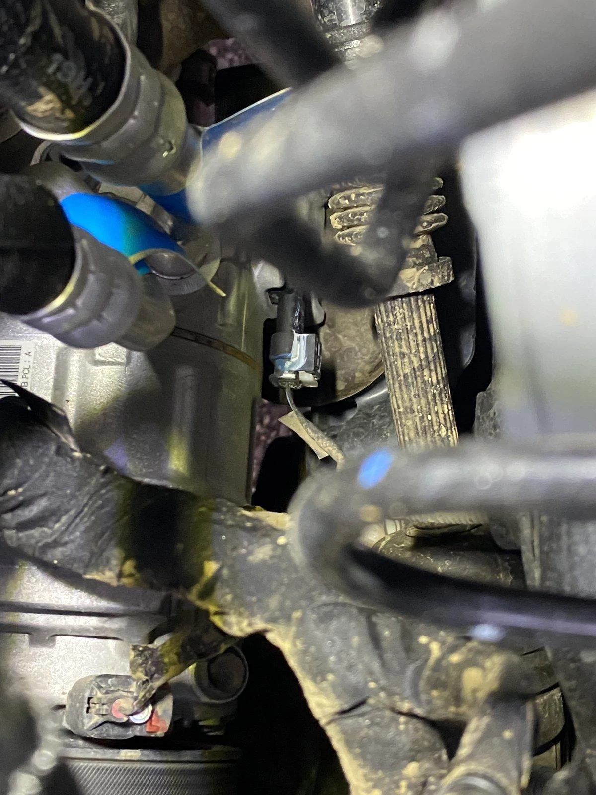 Jeep Gladiator Sport S Max Two - 1,200 and 11,000 miles pictures IMG_1451