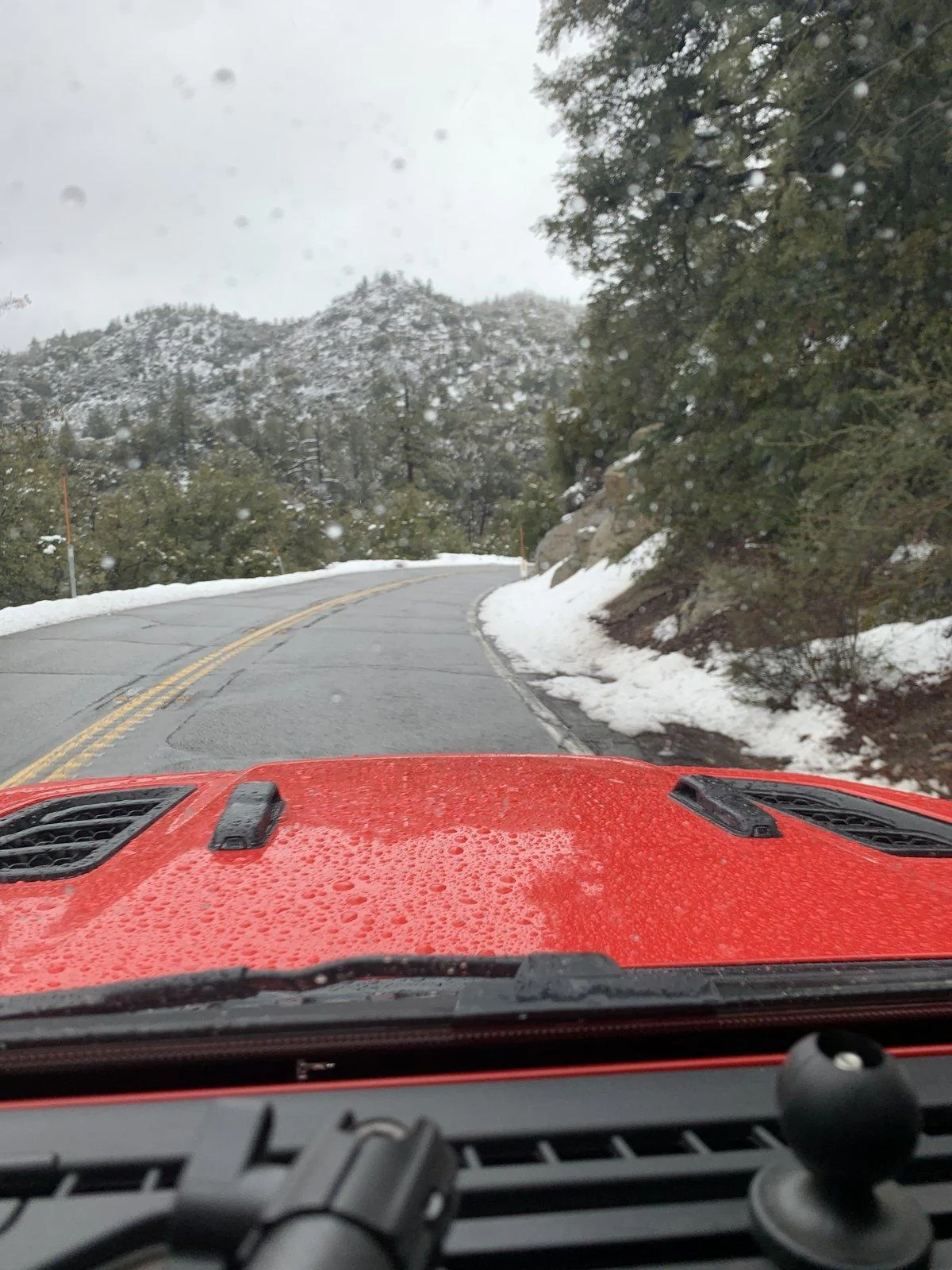 Jeep Gladiator What did you do WITH your Gladiator today? 81FF5E11-6839-4E66-8A6B-B9A28CB08B5C