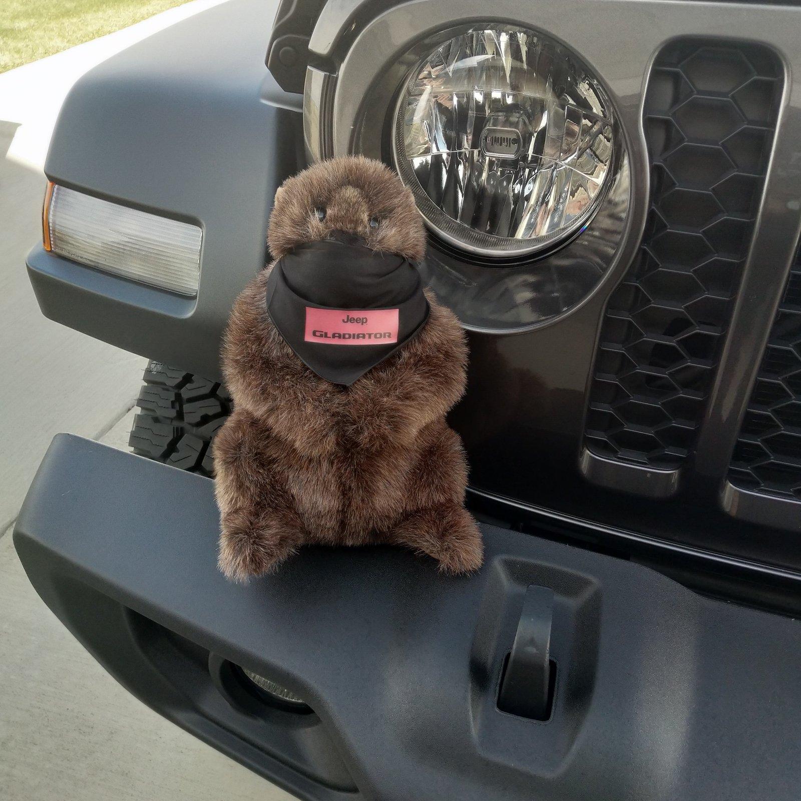 Jeep Gladiator Groundhogs in Gladiators IMG_20200411_154639_544