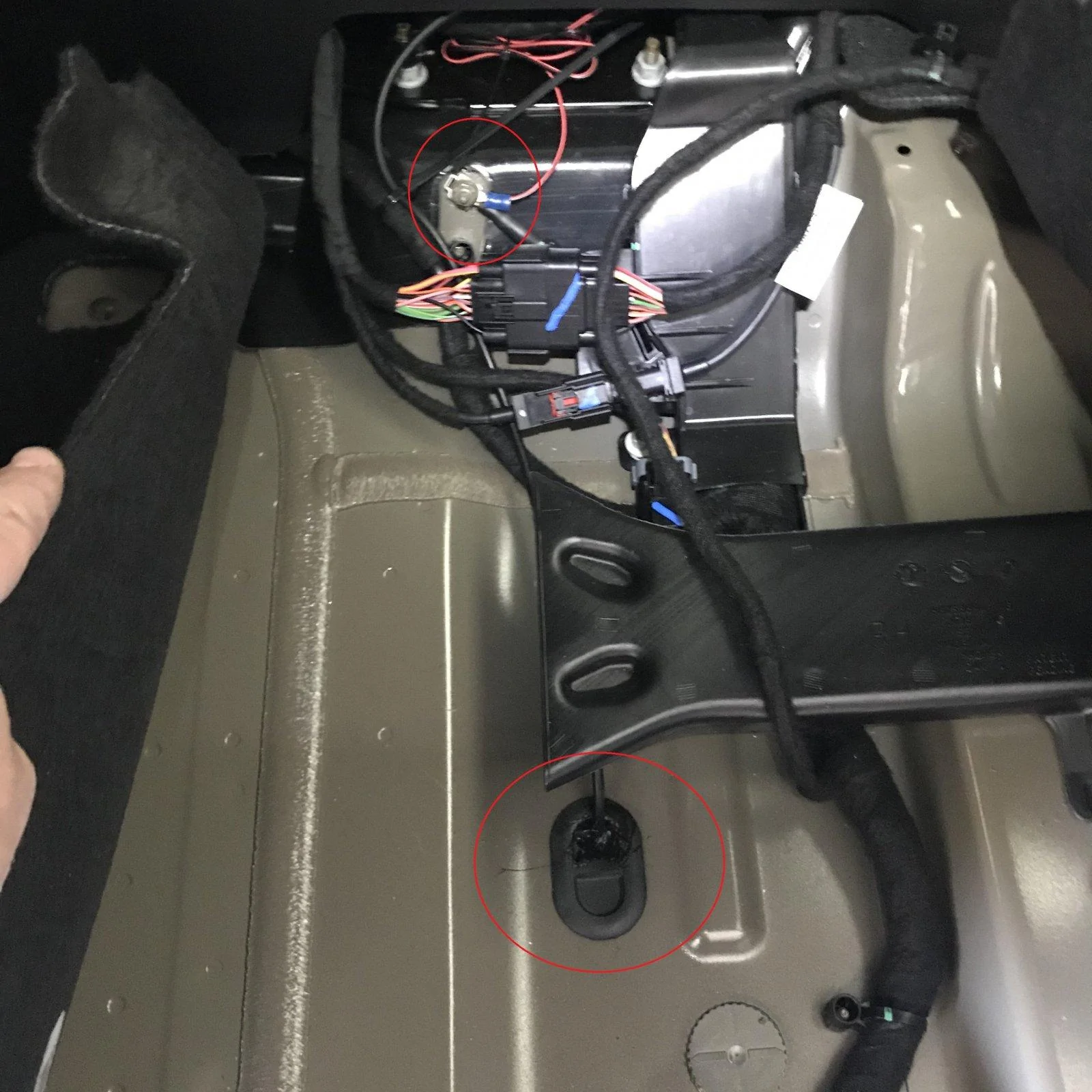 Jeep Gladiator What did you do TO your Gladiator today? [ADMIN WARNING: NO POLITICS, NO GUN TALK] IMG_0845 (1)