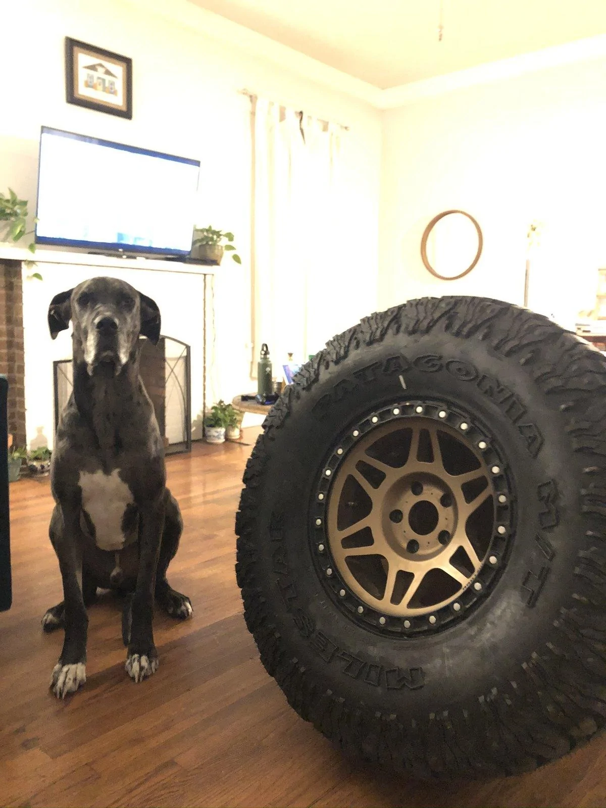 Jeep Gladiator (5) Method MR312 Bronze 17x8.5 4.75” BS 545CB8A6-0E7E-42A5-B8BA-A9124E98EFFA