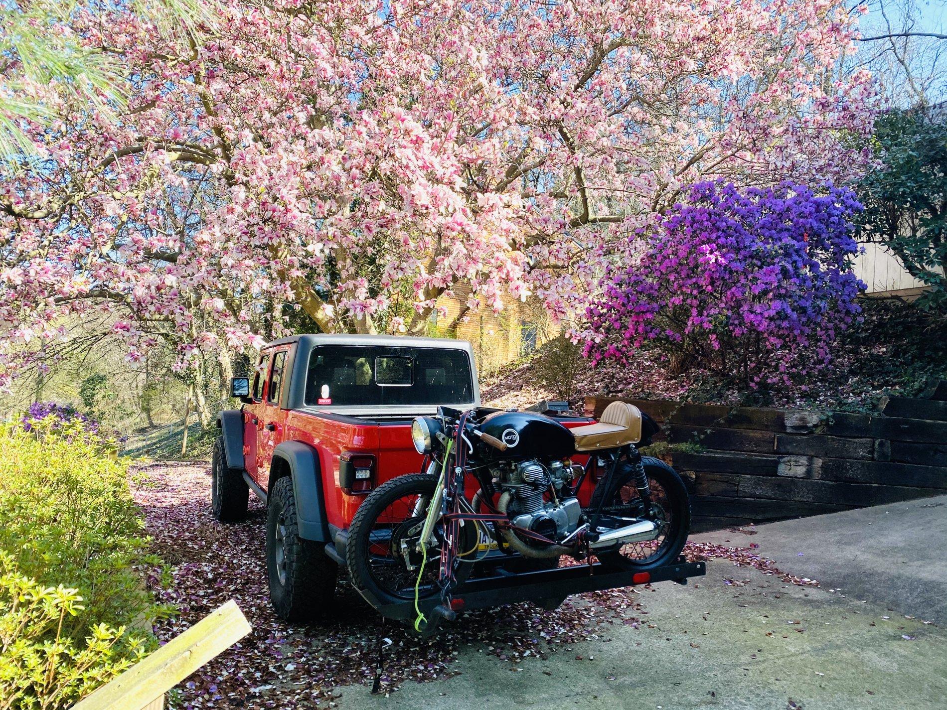 Jeep Gladiator Post your payload pics! IMG_1126
