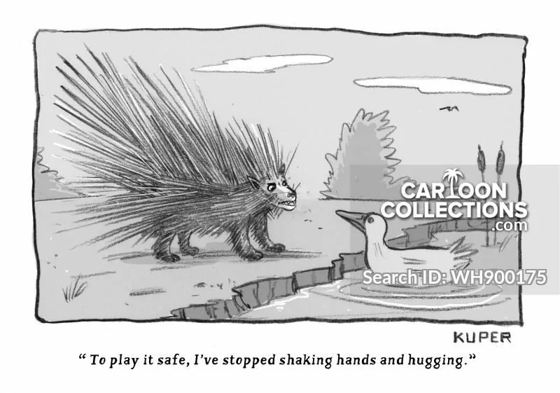 Jeep Gladiator Humor porcupines-porcupine_spikes-playing_it_safe-hug-shaking_hands-animals-WH900175_lo