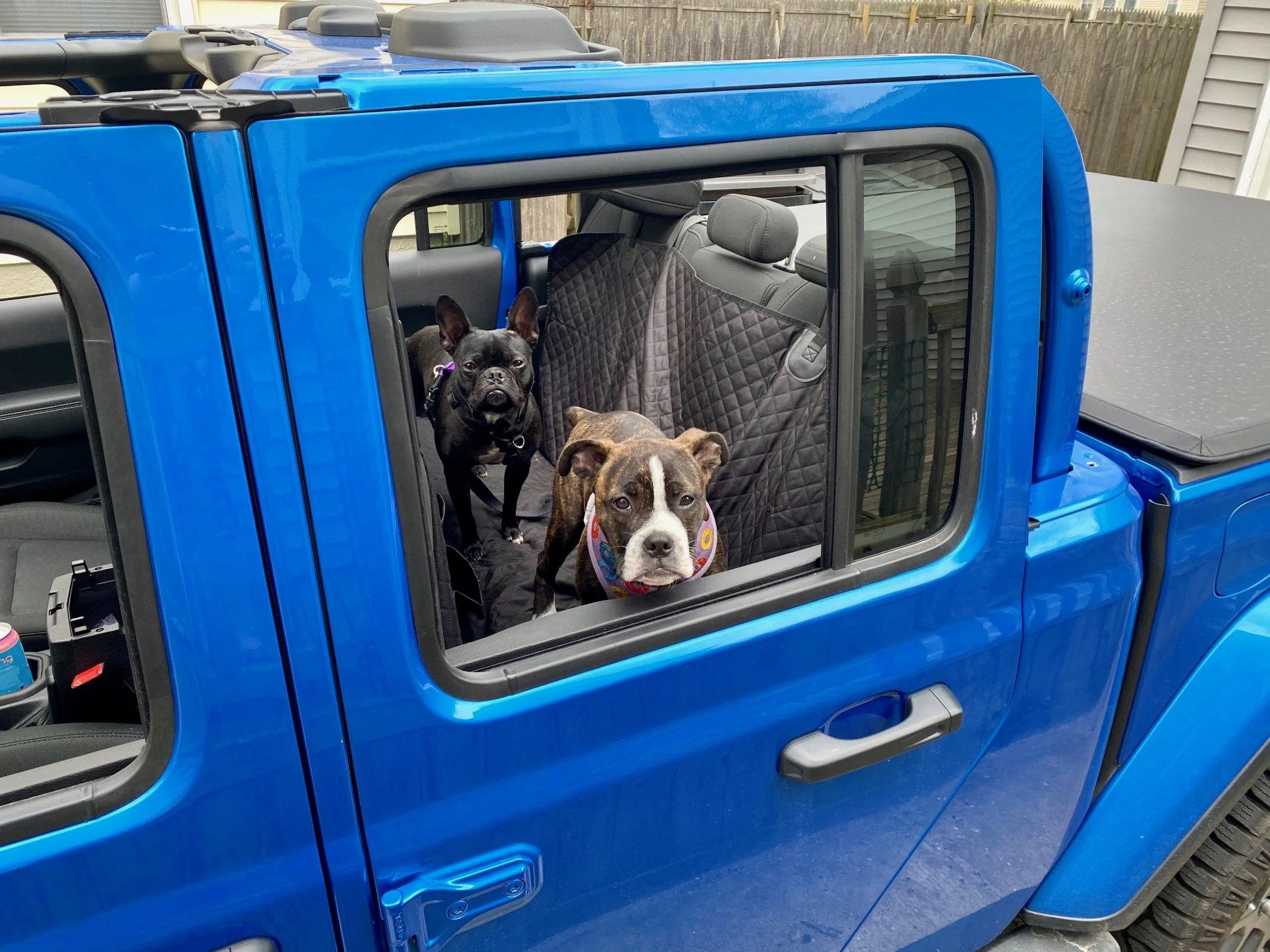 Jeep Gladiator Glad(iator) Dogs! Let's see 'em! 3112760C-4714-4E3F-B445-B38B9C58F1EA