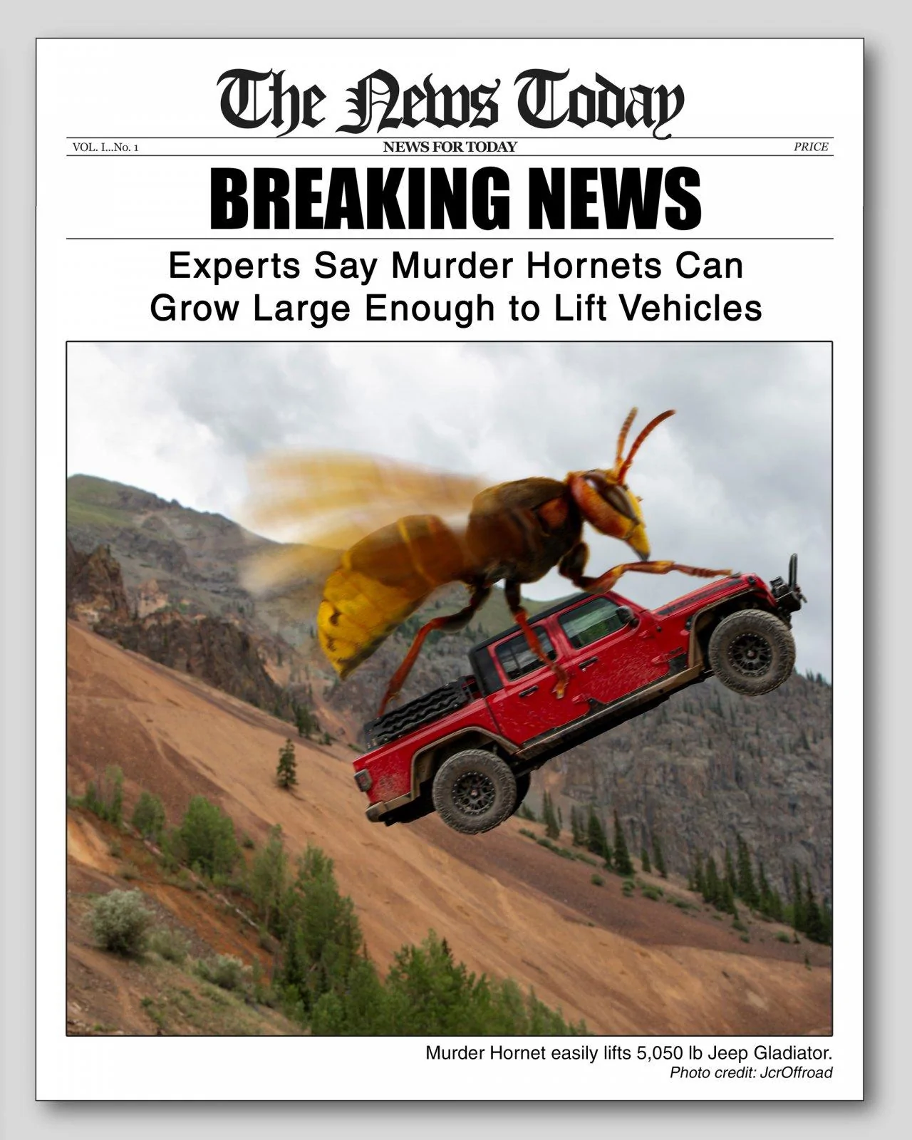 Jeep Gladiator Murder Hornets IMG_9921