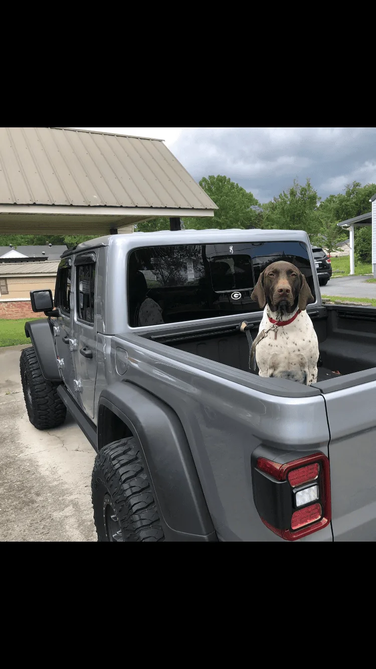 Jeep Gladiator Glad(iator) Dogs! Let's see 'em! 1F2593F4-C523-47D6-95D6-A6458E235A99