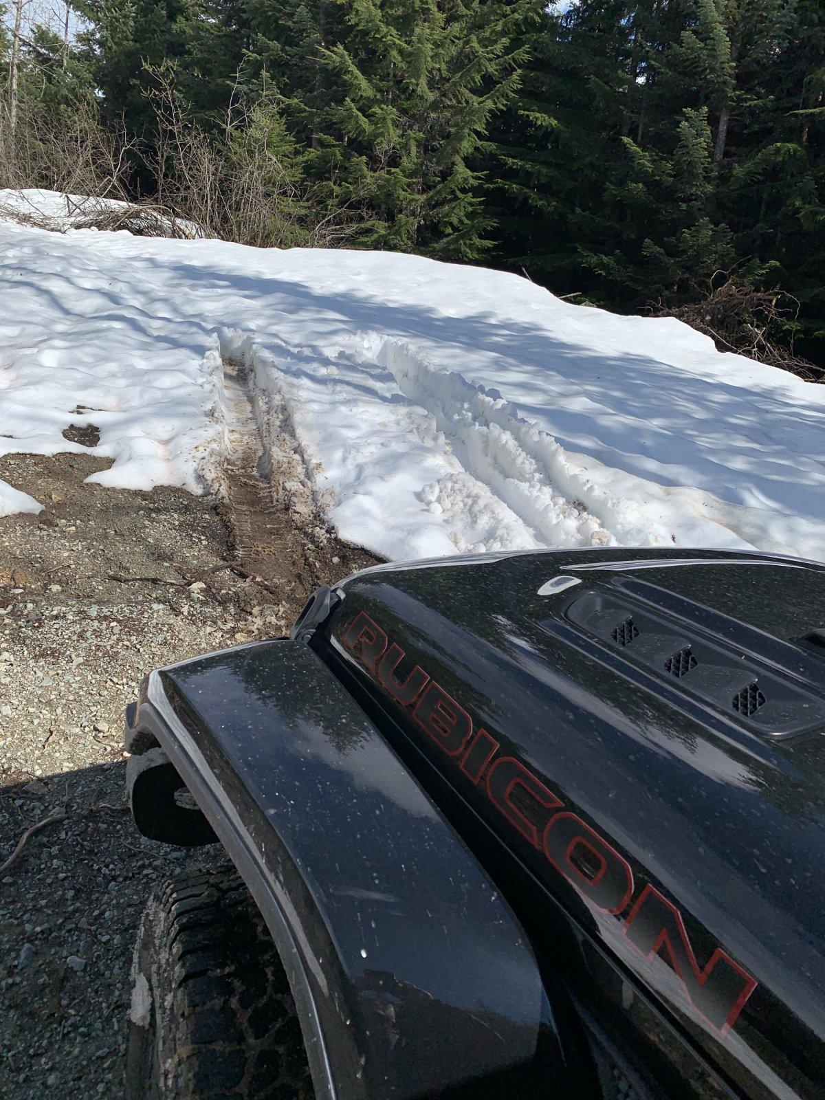 Jeep Gladiator What did you do WITH your Gladiator today? 1718B544-9C79-49A4-9639-008C2468CD64