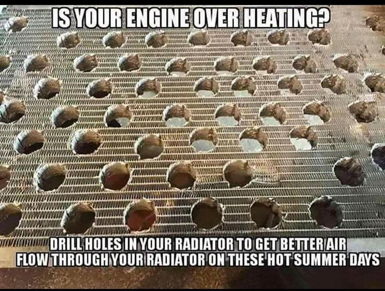 Jeep Gladiator Humor 7A79FF74-32FD-4E47-A2AB-1979D26D3372