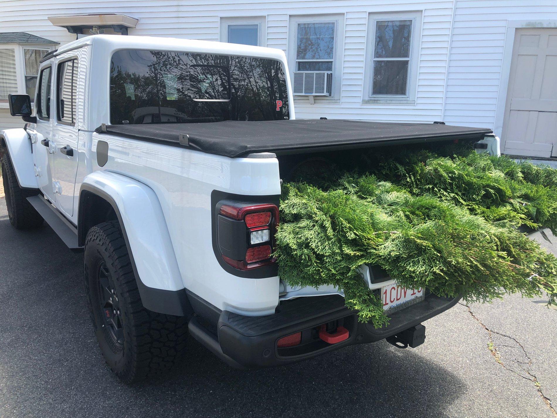 Jeep Gladiator Post your payload pics! IMG_2605