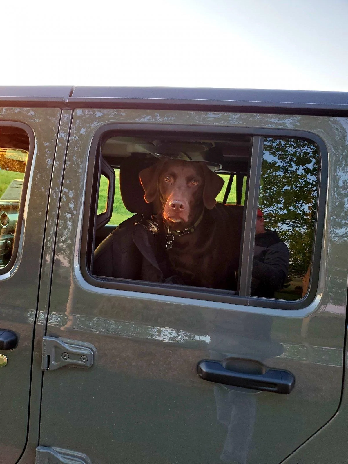 Jeep Gladiator Glad(iator) Dogs! Let's see 'em! 20200508_205800