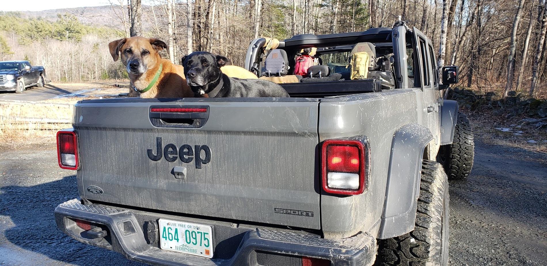 Jeep Gladiator Glad(iator) Dogs! Let's see 'em! 3p4kv3hW8vIhUFrQJFmWMG0dQ=w1920-h935-no?authuser=2