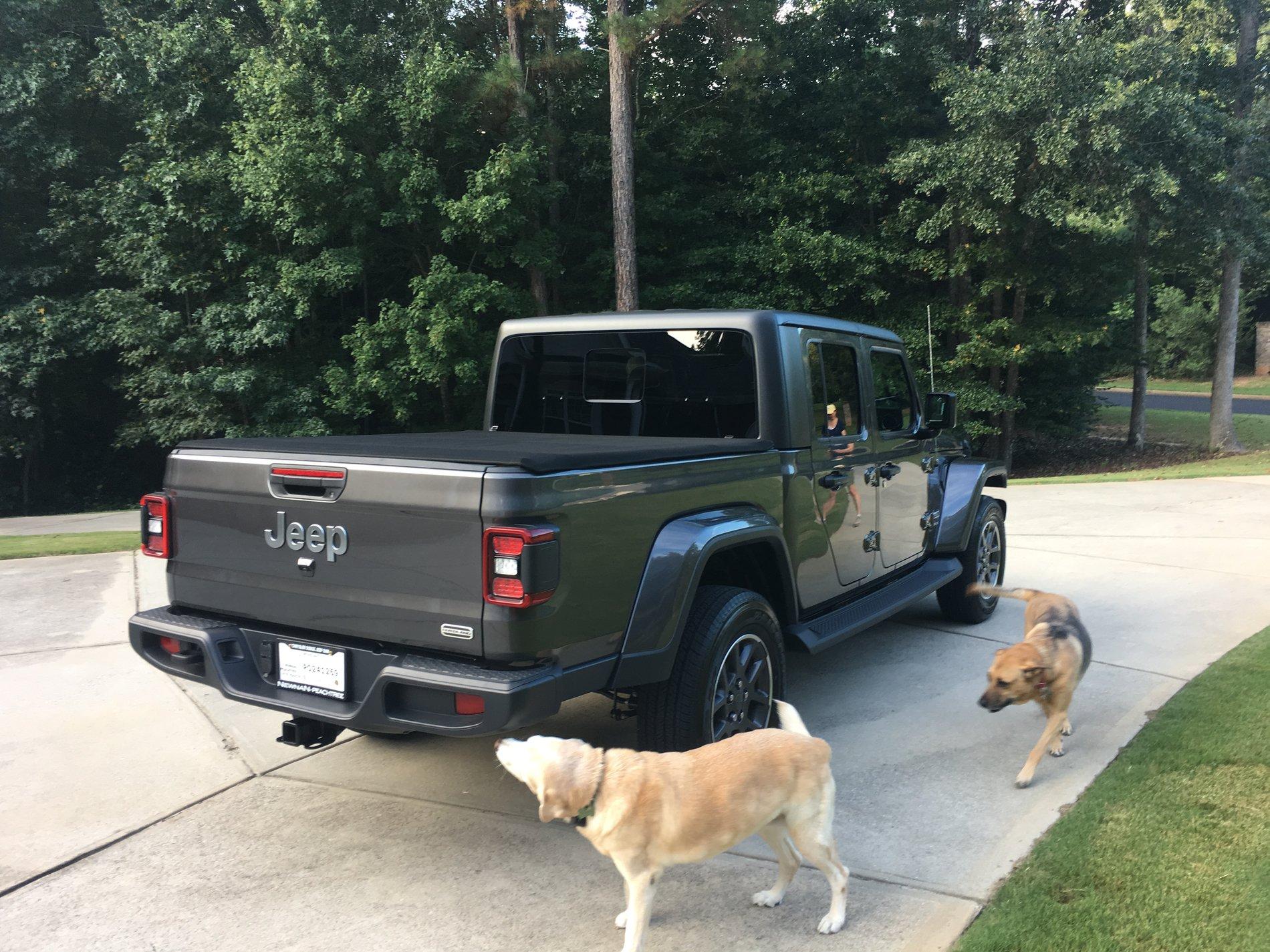 Jeep Gladiator Glad(iator) Dogs! Let's see 'em! 1589250834385
