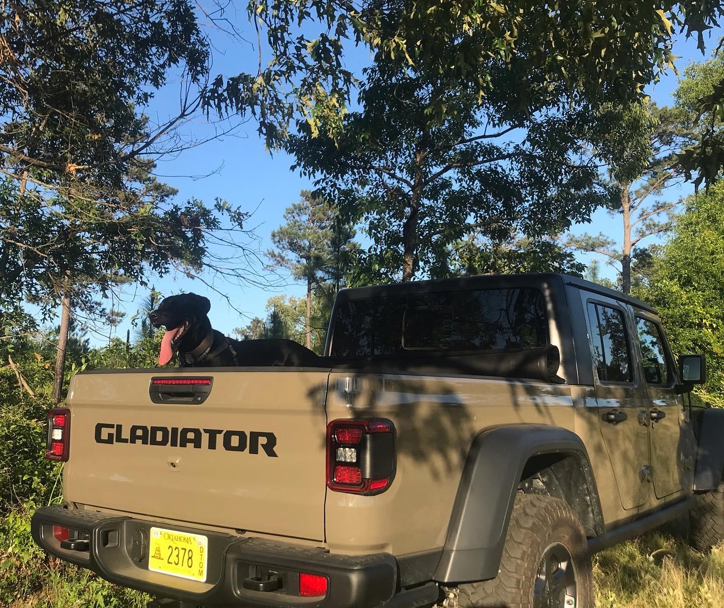 Jeep Gladiator GATOR Gladiator JT Club 885BDEF3-5F6C-4A3A-870D-92D9F22717E5