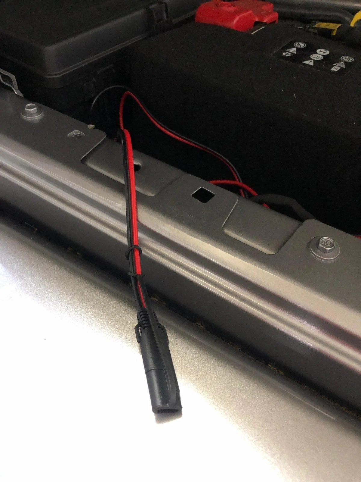 p1.jpg