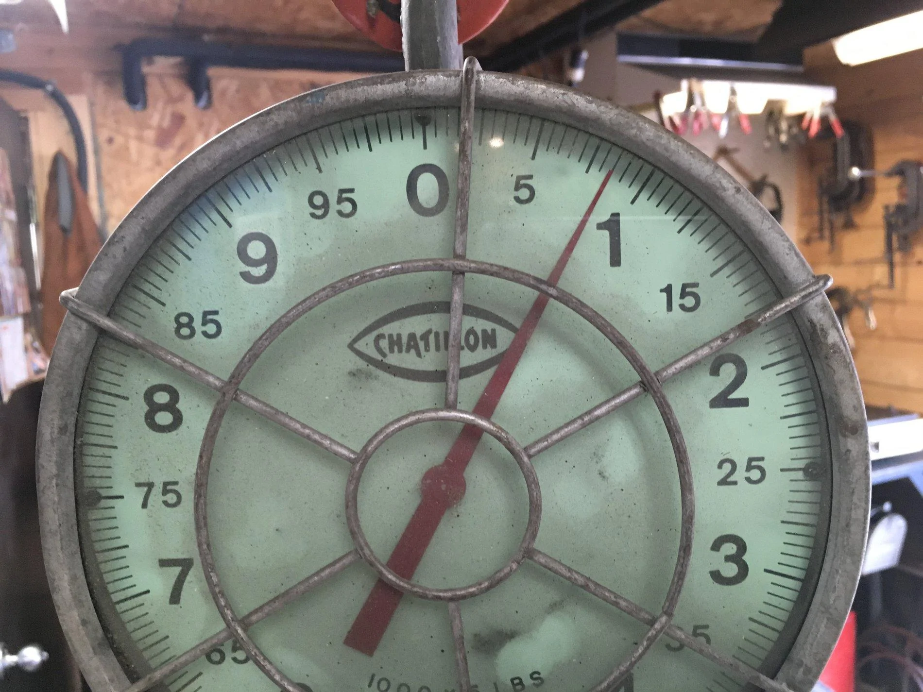 Jeep Gladiator Alu-Cab Gladiator Bed Cap 0B8CA242-DFC2-460B-8E04-B07D216C01B1
