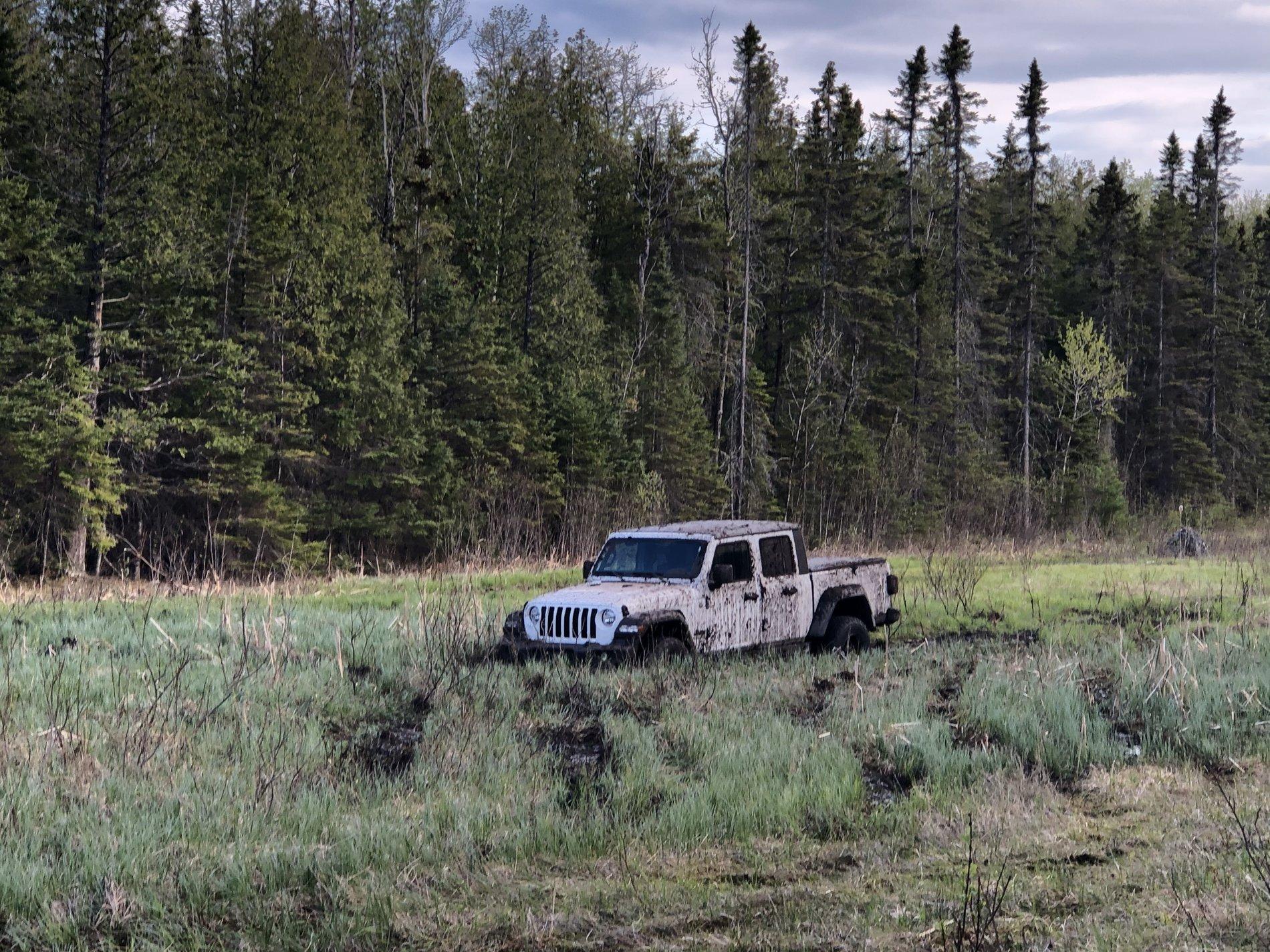 Jeep Gladiator What did you do WITH your Gladiator today? 258B1129-9676-4388-AAB3-8C52D52C0638