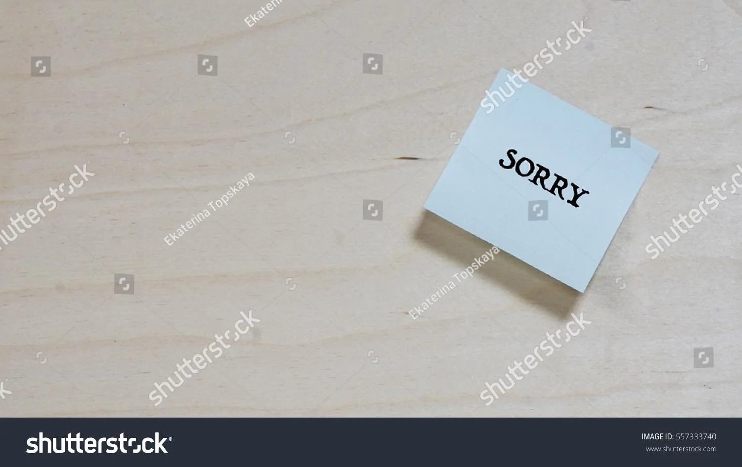 Jeep Gladiator 2020 Jeep Gladiator 50 State + Canada Road Trip stock-photo-sticker-on-a-wooden-plywood-words-on-a-paper-sticker-sorry-557333740