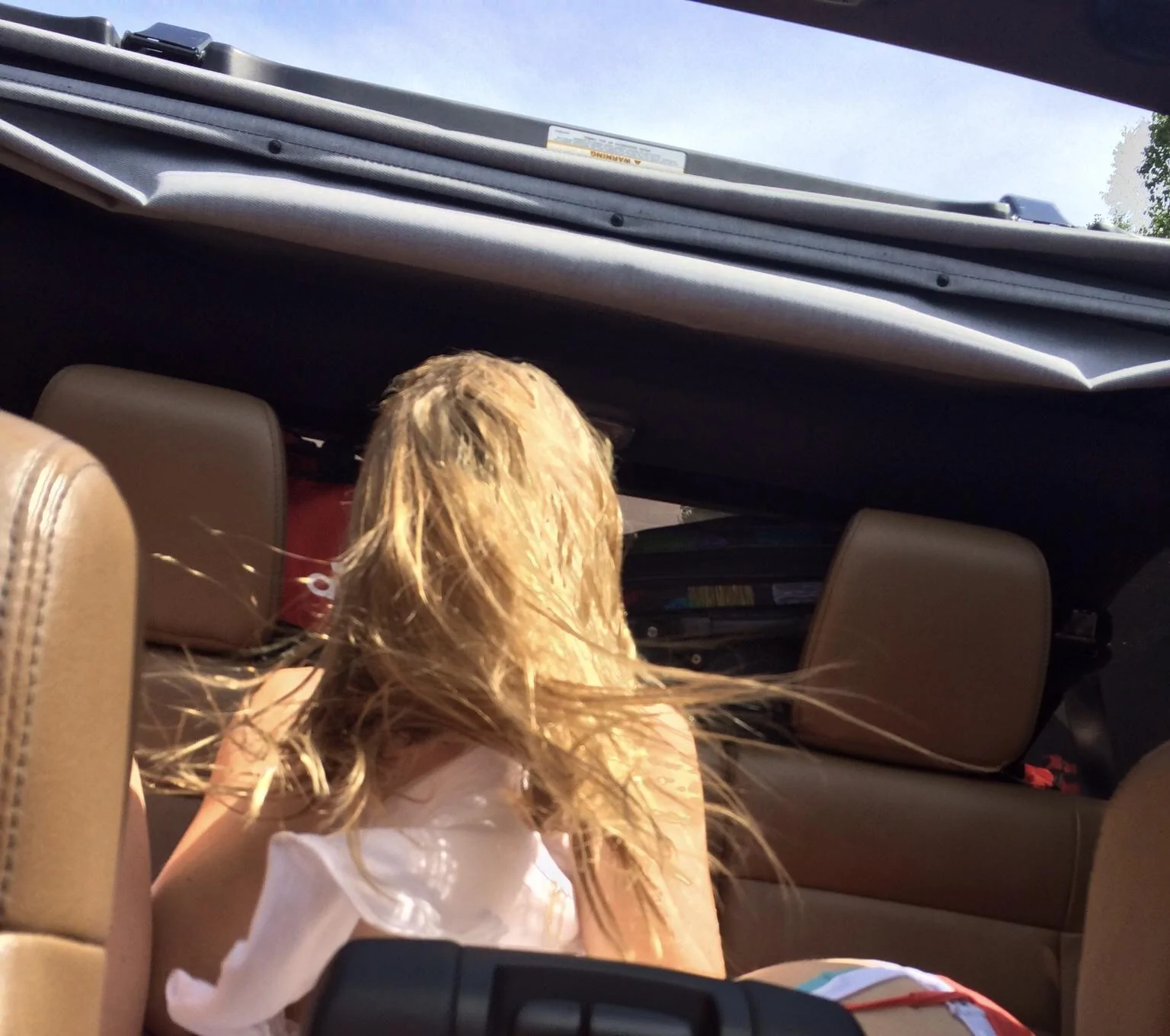 Jeep Gladiator Gladiator Safari Cap (make this) upload_2019-2-23_17-10-48