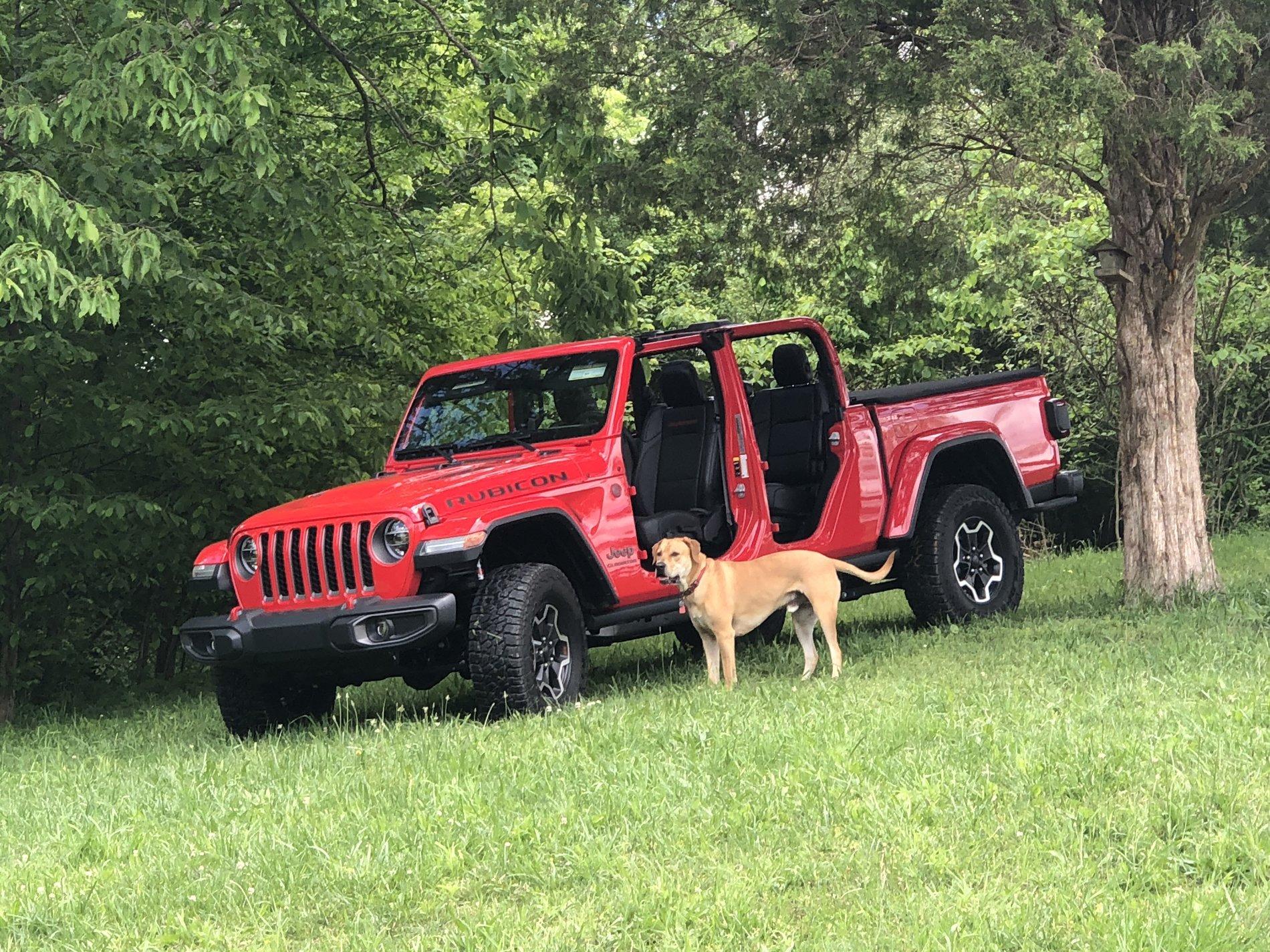 Jeep Gladiator Glad(iator) Dogs! Let's see 'em! 20176720-D0B8-4103-AC4F-EA915D41929A