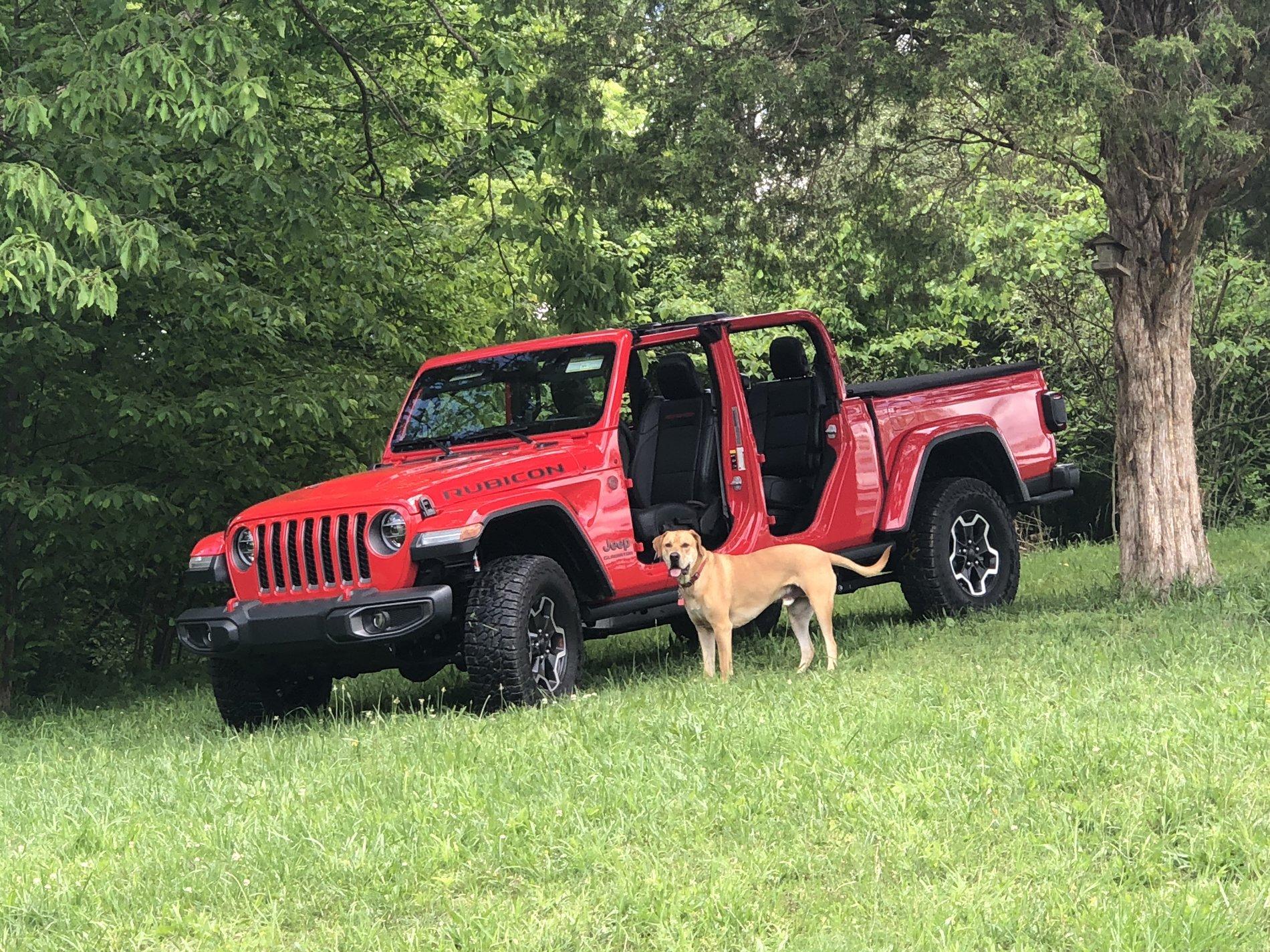 Jeep Gladiator Glad(iator) Dogs! Let's see 'em! F29DE2CD-4209-494F-8DB8-8915F752E51F