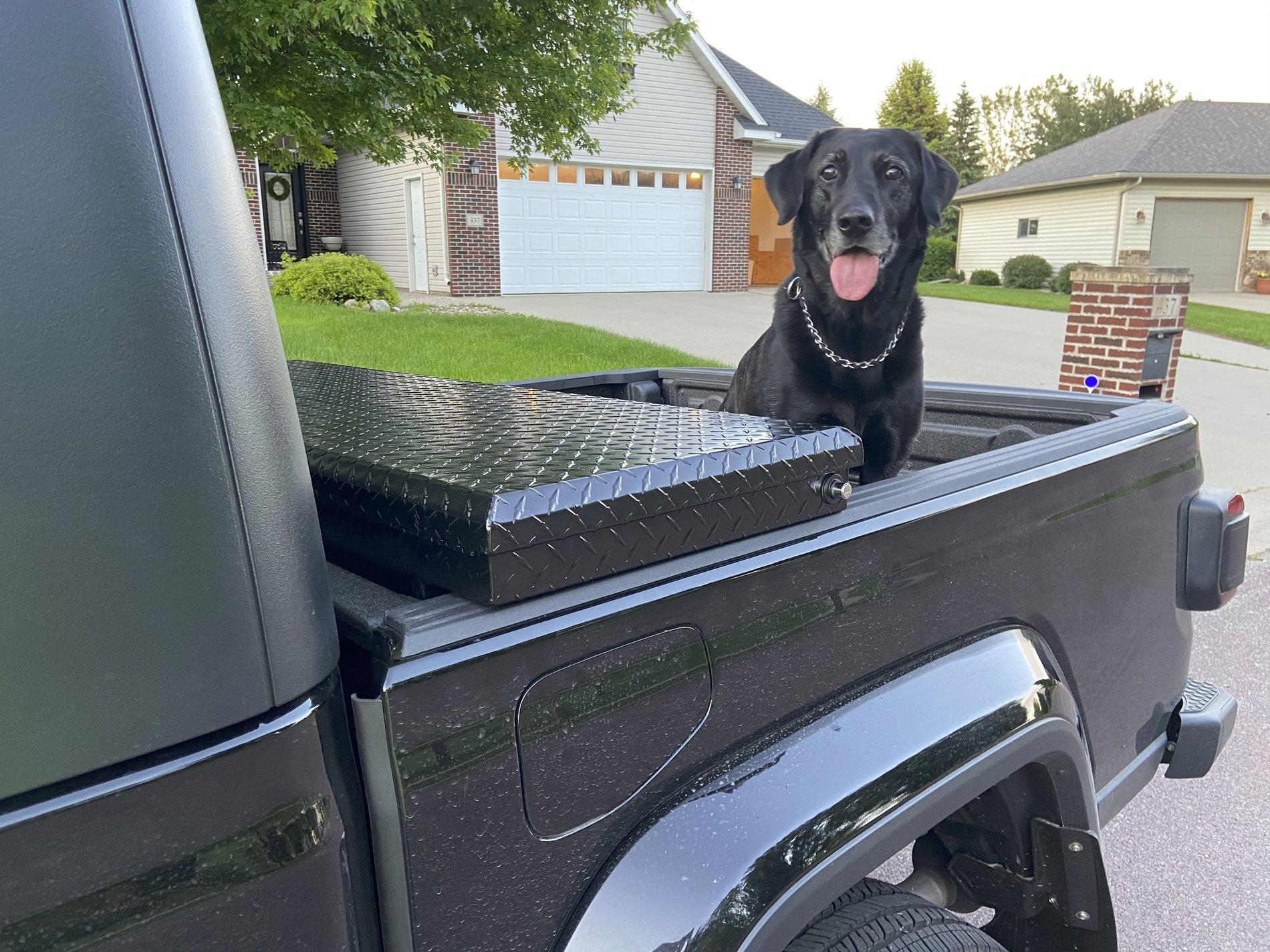 Jeep Gladiator Truck box IMG_3167