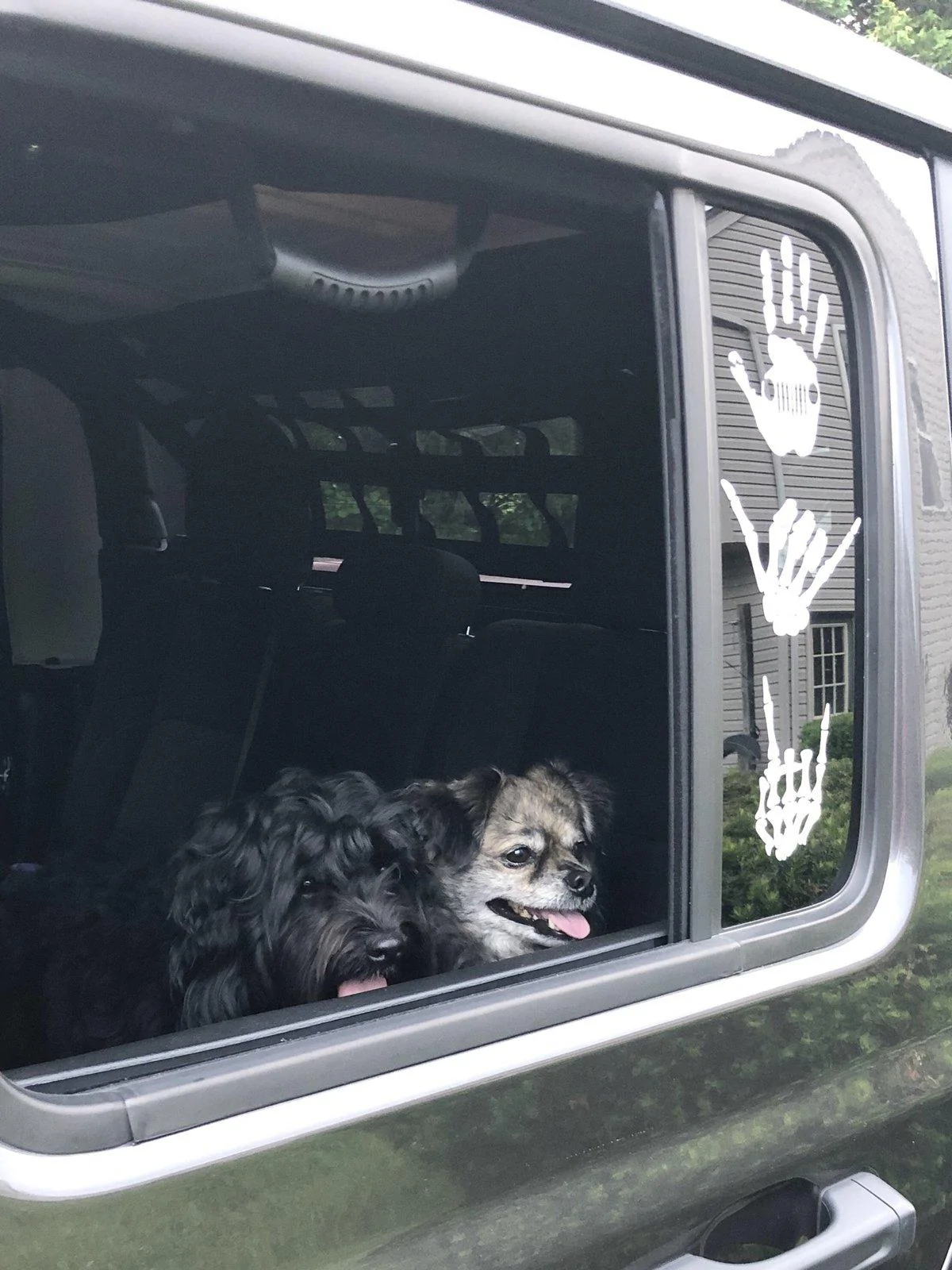Jeep Gladiator Glad(iator) Dogs! Let's see 'em! BDE38AA6-B07F-4C2C-9A19-E922090B9AAE