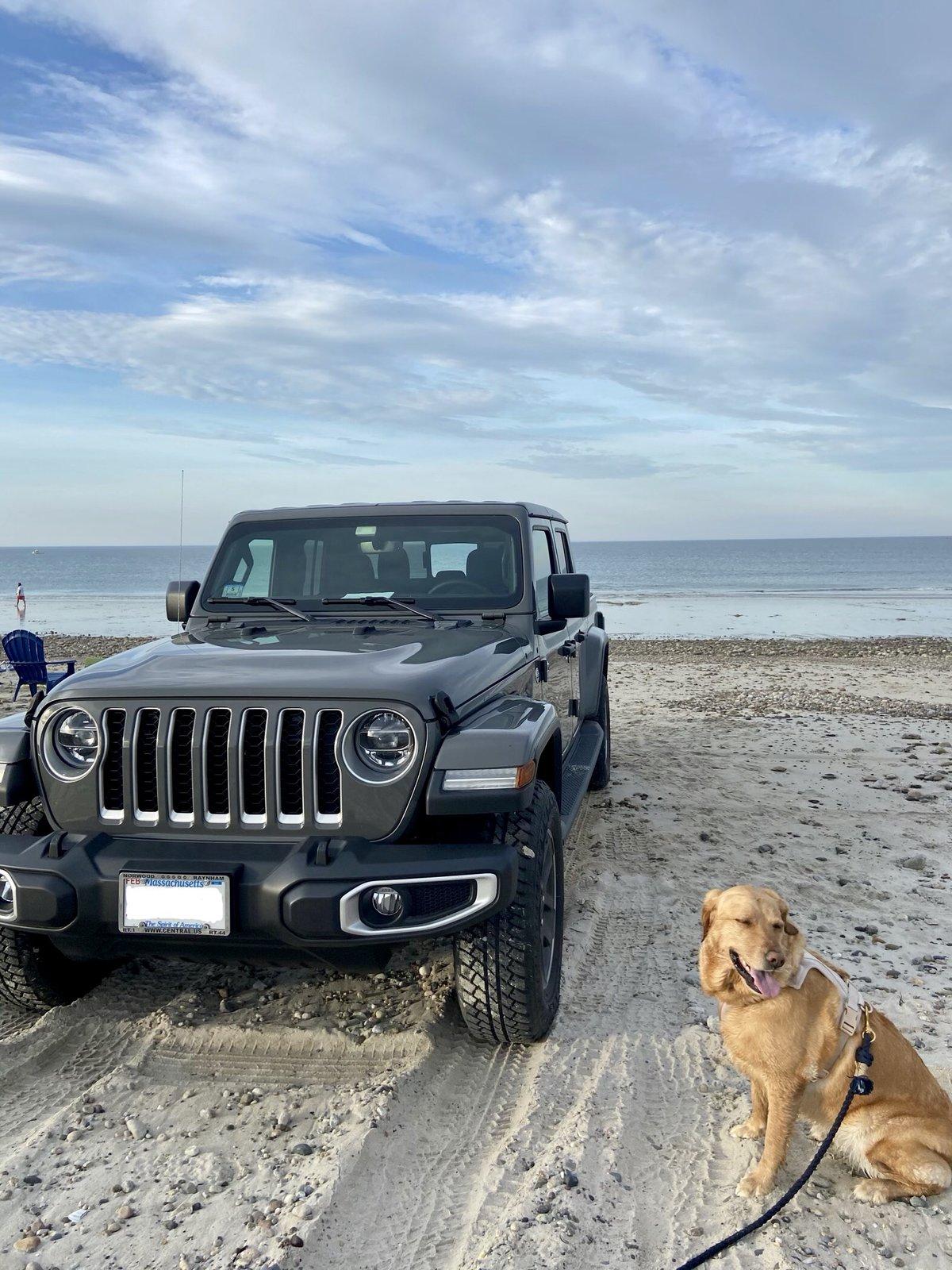Jeep Gladiator What did you do WITH your Gladiator today? 6525F410-1EF1-4939-8388-94F08B414F24