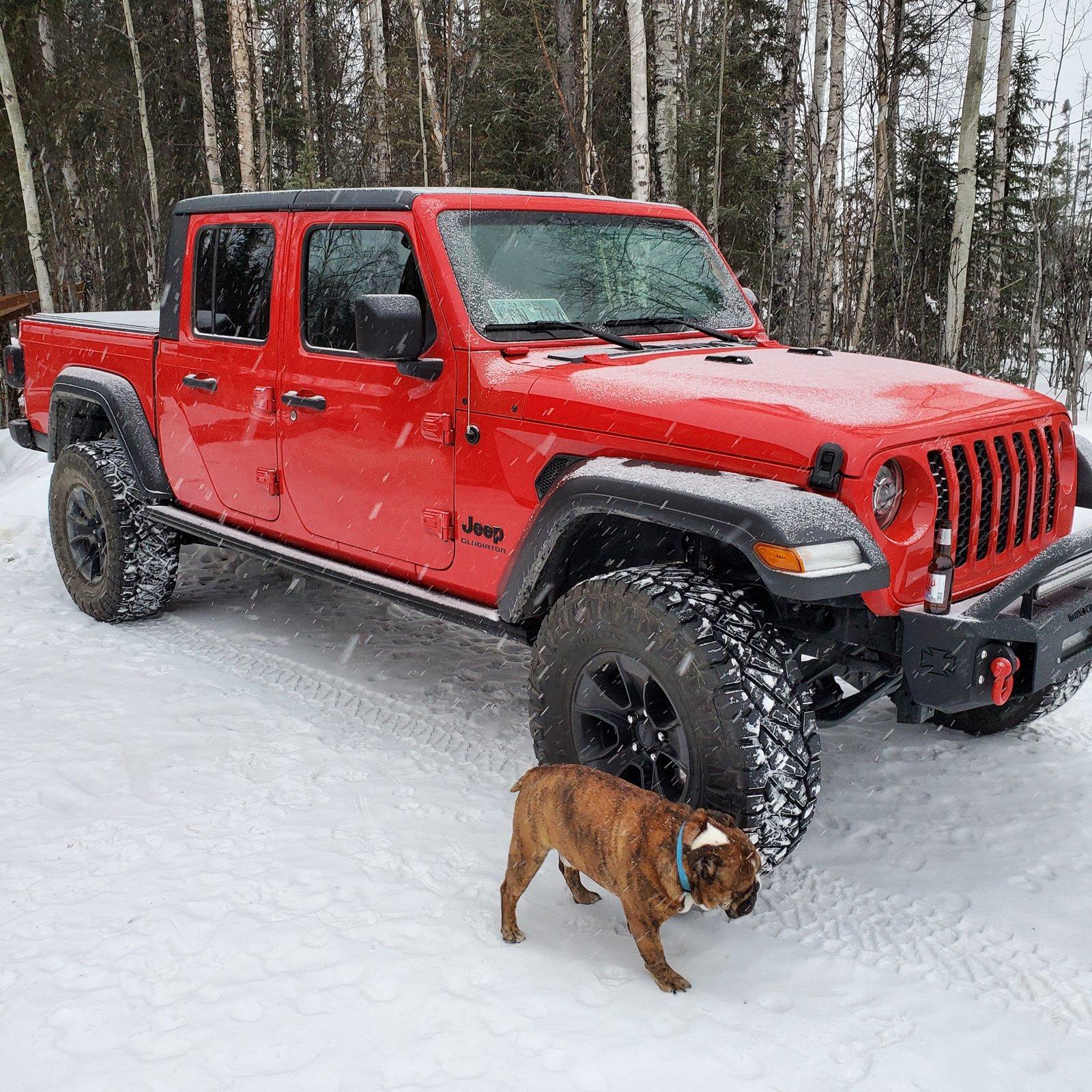 Jeep Gladiator Glad(iator) Dogs! Let's see 'em! 20200229_172605