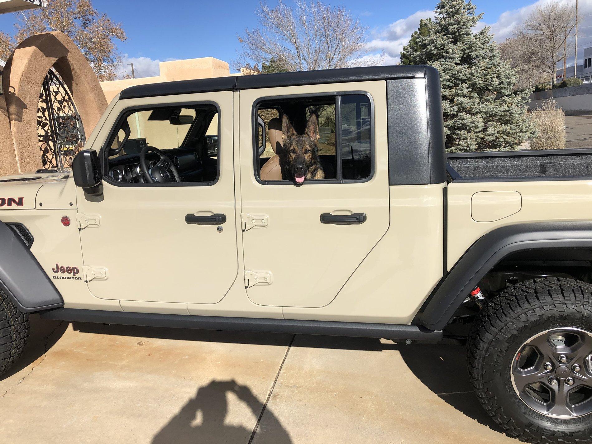 Jeep Gladiator Glad(iator) Dogs! Let's see 'em! 2CCC5EFE-635E-4ACE-B703-0795DEC5CA78