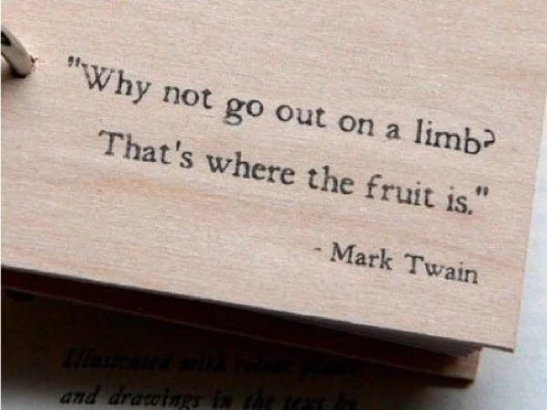 Jeep Gladiator Music in your Gladiator mark-twain-quotes-limbs