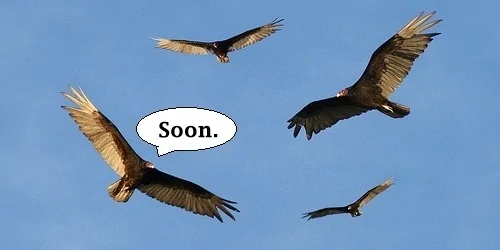 Jeep Gladiator ELECTION 2020 - Gladiator Style circling-vultures2
