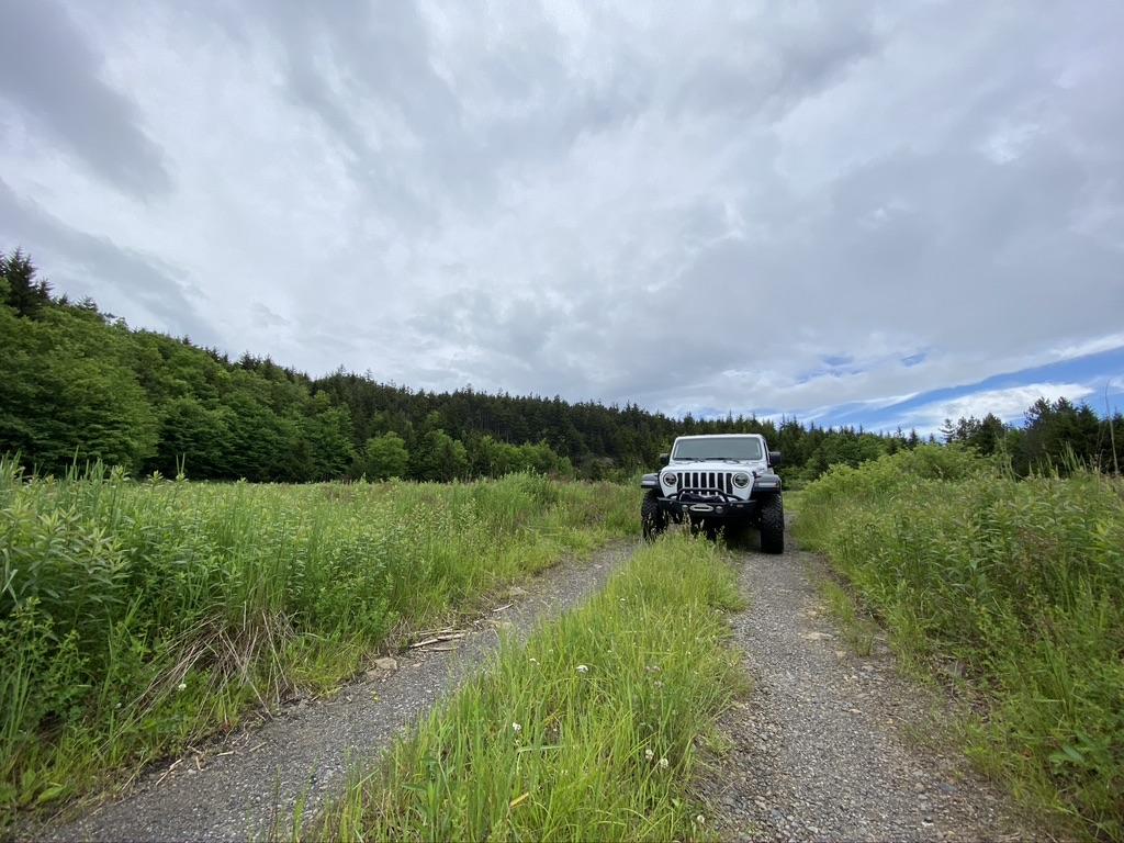 Jeep Gladiator What did you do TO your Gladiator today? [ADMIN WARNING: NO POLITICS, NO GUN TALK] A8989DFB-D756-405D-A3CF-3221AEF410D6_1_105_c