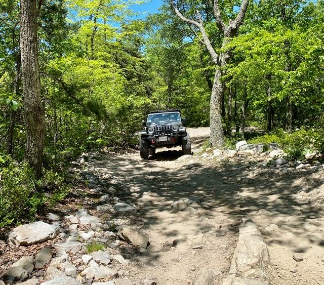 Jeep Gladiator What did you do WITH your Gladiator today? 627AFCEB-8EFC-4EBF-9245-C7A862DD082B