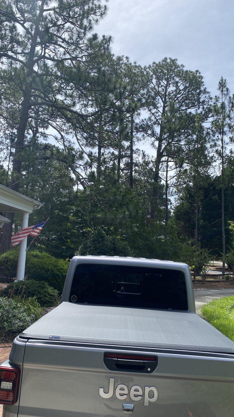 Jeep Gladiator Tonneau Cover Photos and Fit, I need help making a choice. IMG_1077
