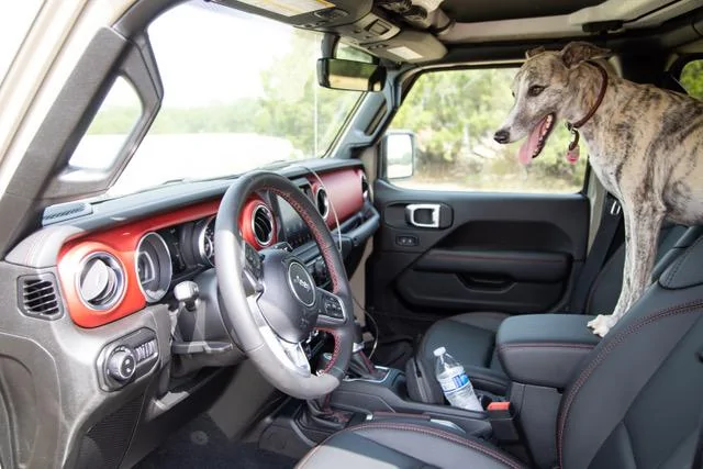 Jeep Gladiator Gobi Rubicon in Oatmeal IMG_1818