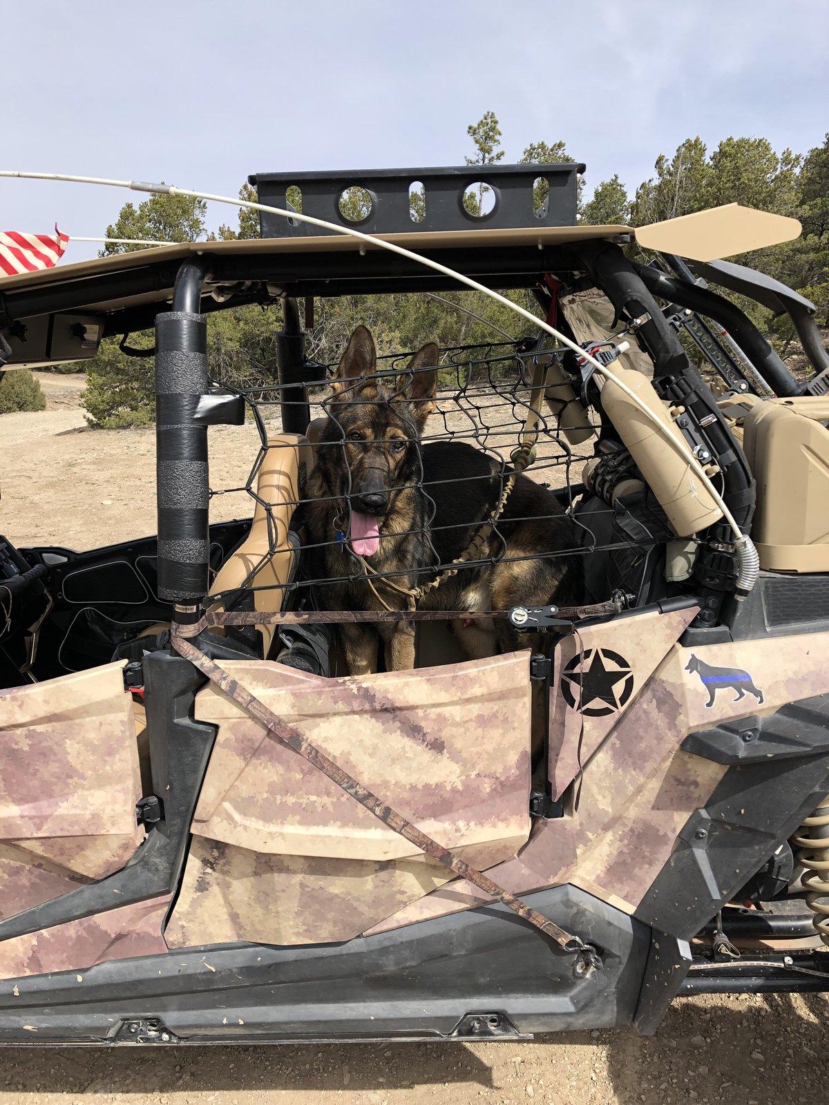 Jeep Gladiator Glad(iator) Dogs! Let's see 'em! 97644E57-3C76-4D91-95A6-29BA72C73BF3