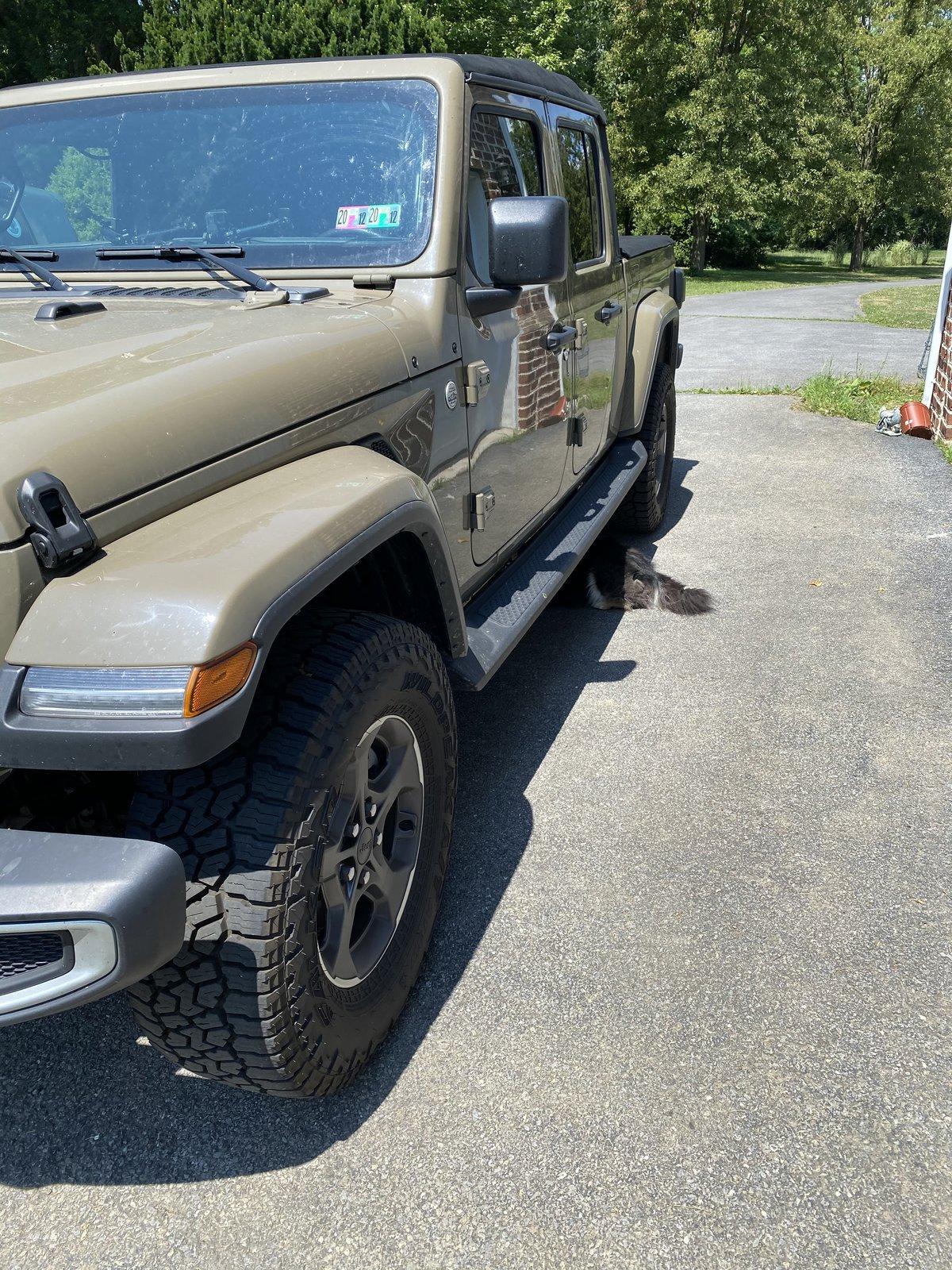 Jeep Gladiator Glad(iator) Dogs! Let's see 'em! 494CBD20-4C95-4845-9AF9-58009719082B