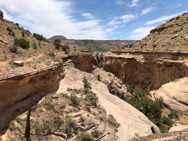 Jeep Gladiator Moab Run for JT only - Who's Down? Fruita Kokopelli trail