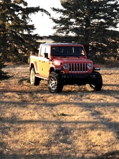 Jeep Gladiator Here is a pic I need to share A08E6BD1-27A7-4548-A674-F04D739EEE69_1_201_a
