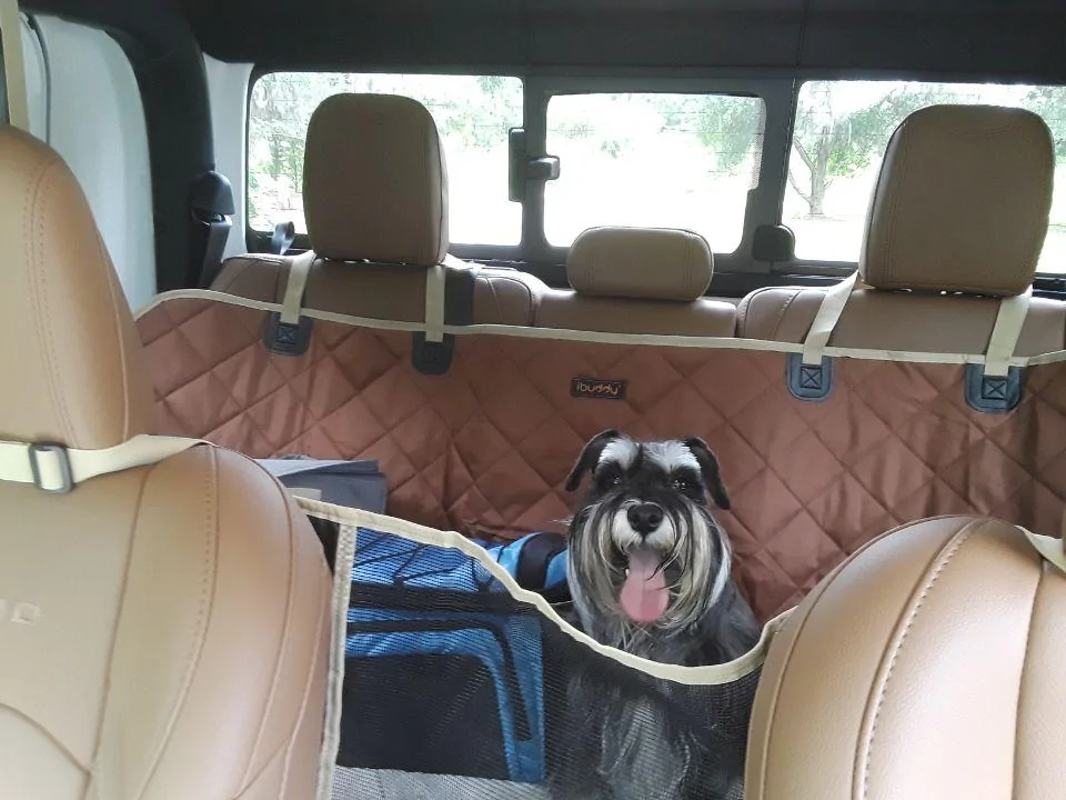 Jeep Gladiator Back seat  dogs Resized_20200603_112127_3509
