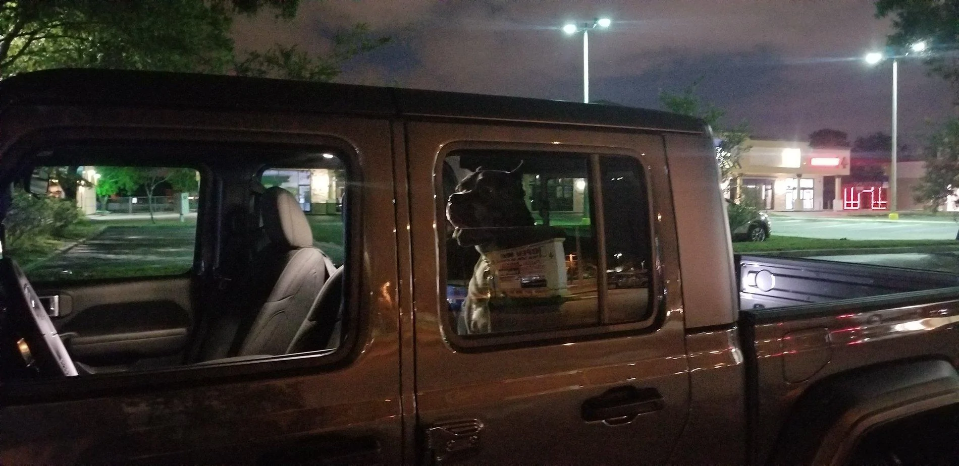 Jeep Gladiator Any difficulty getting dogs in back seat? corsobackseat