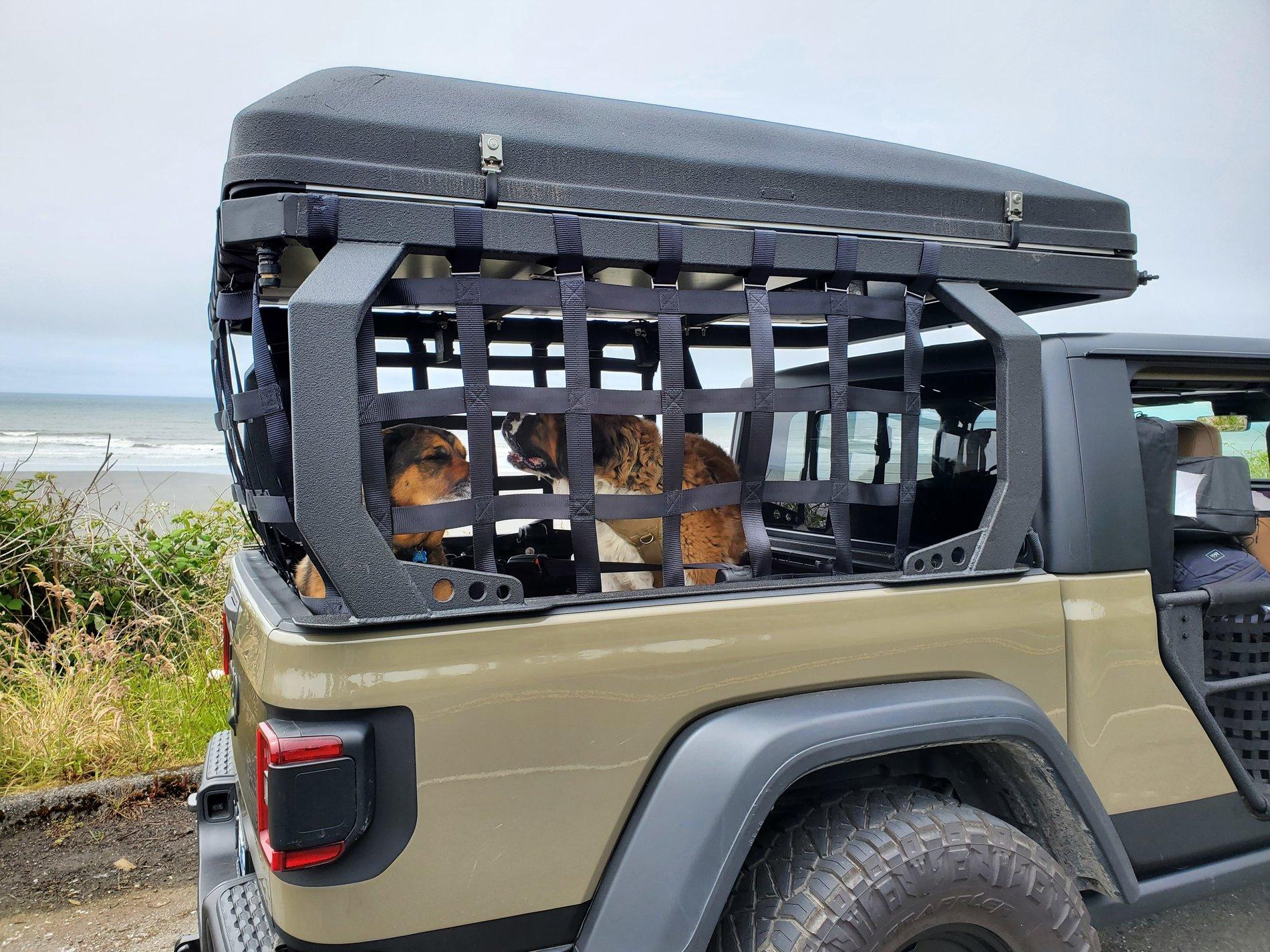 Jeep Gladiator Any difficulty getting dogs in back seat? 20200626_133252