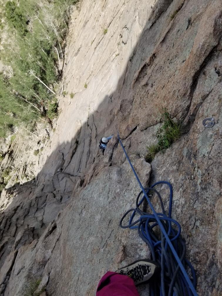 Jeep Gladiator What did you do WITH your Gladiator today? Resized_20200712_112741