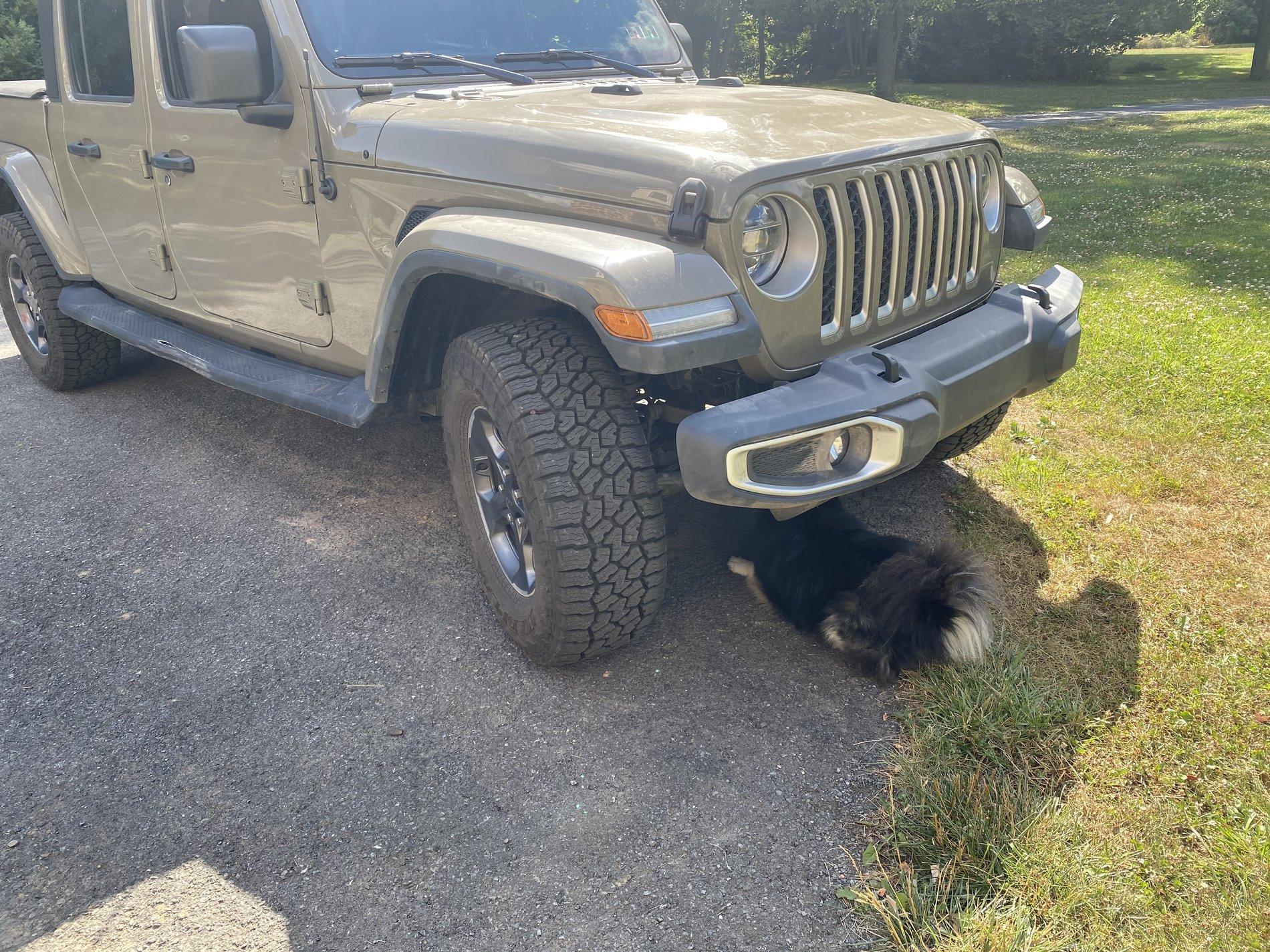 Jeep Gladiator Giveaway of the Month - July 2020 - JT Gladiator M220 (3rd Gen D44) Diff Skid Plate IMG_1566 (1)